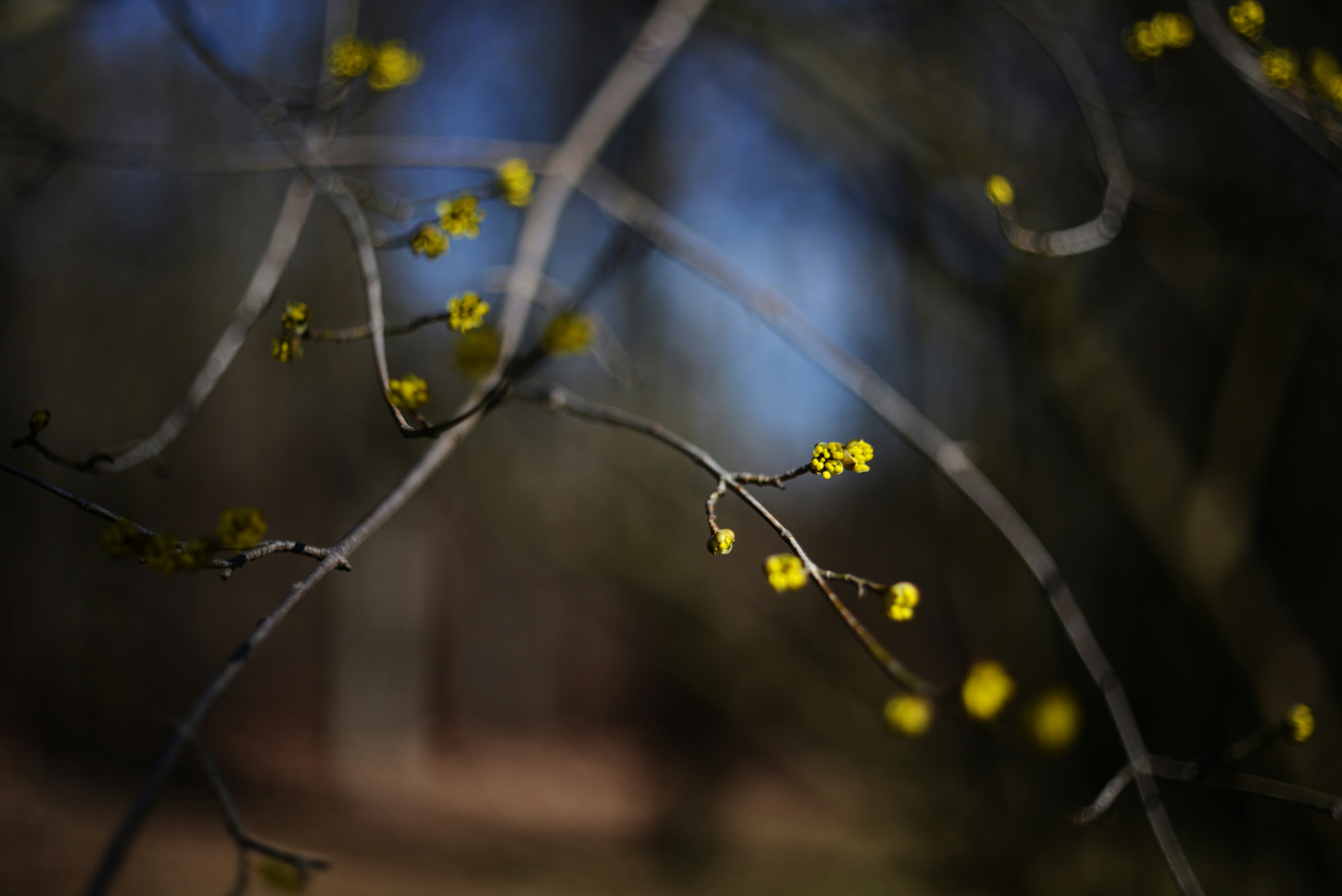 Photo by cherstve_pechivo