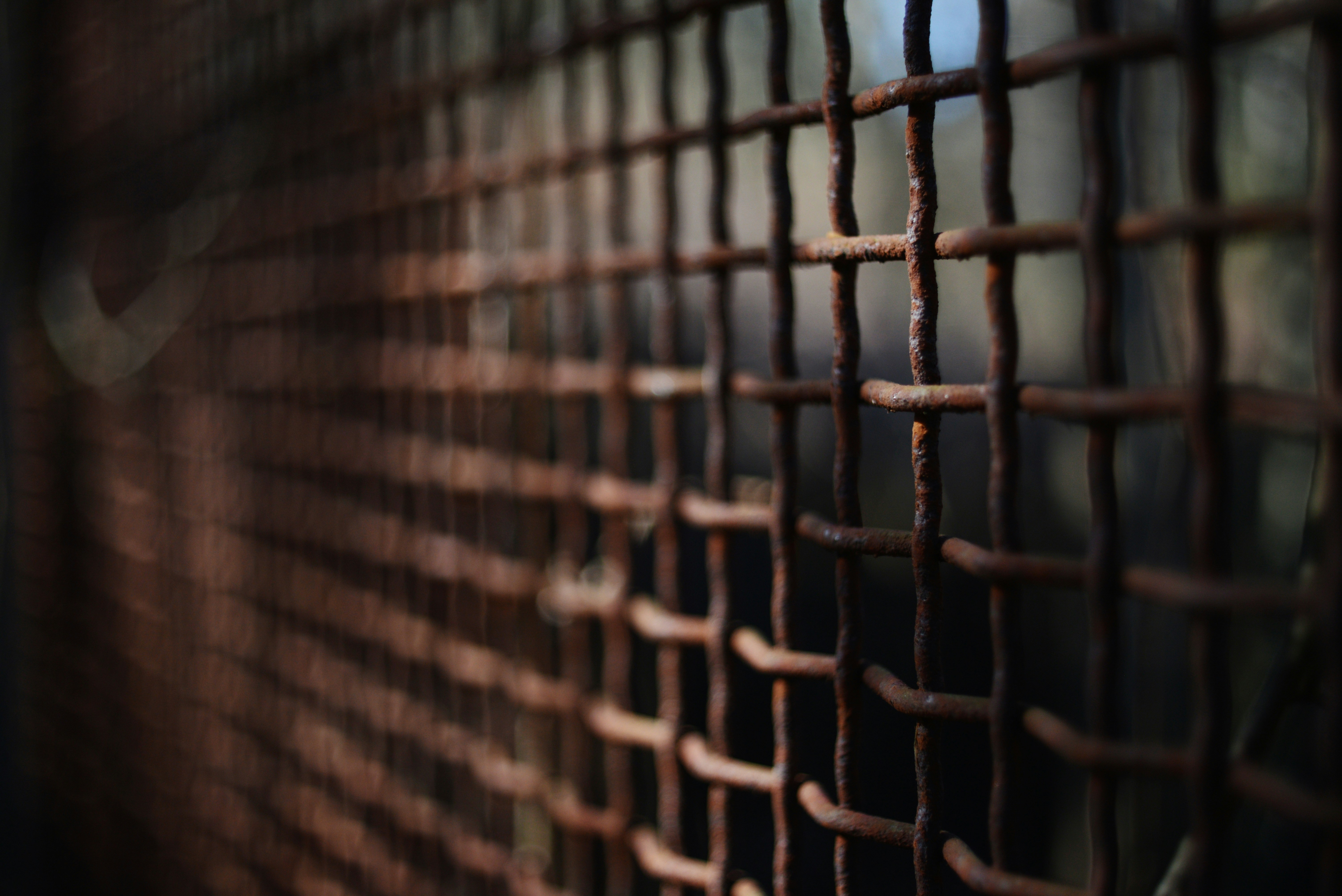 Photo by cherstve_pechivo