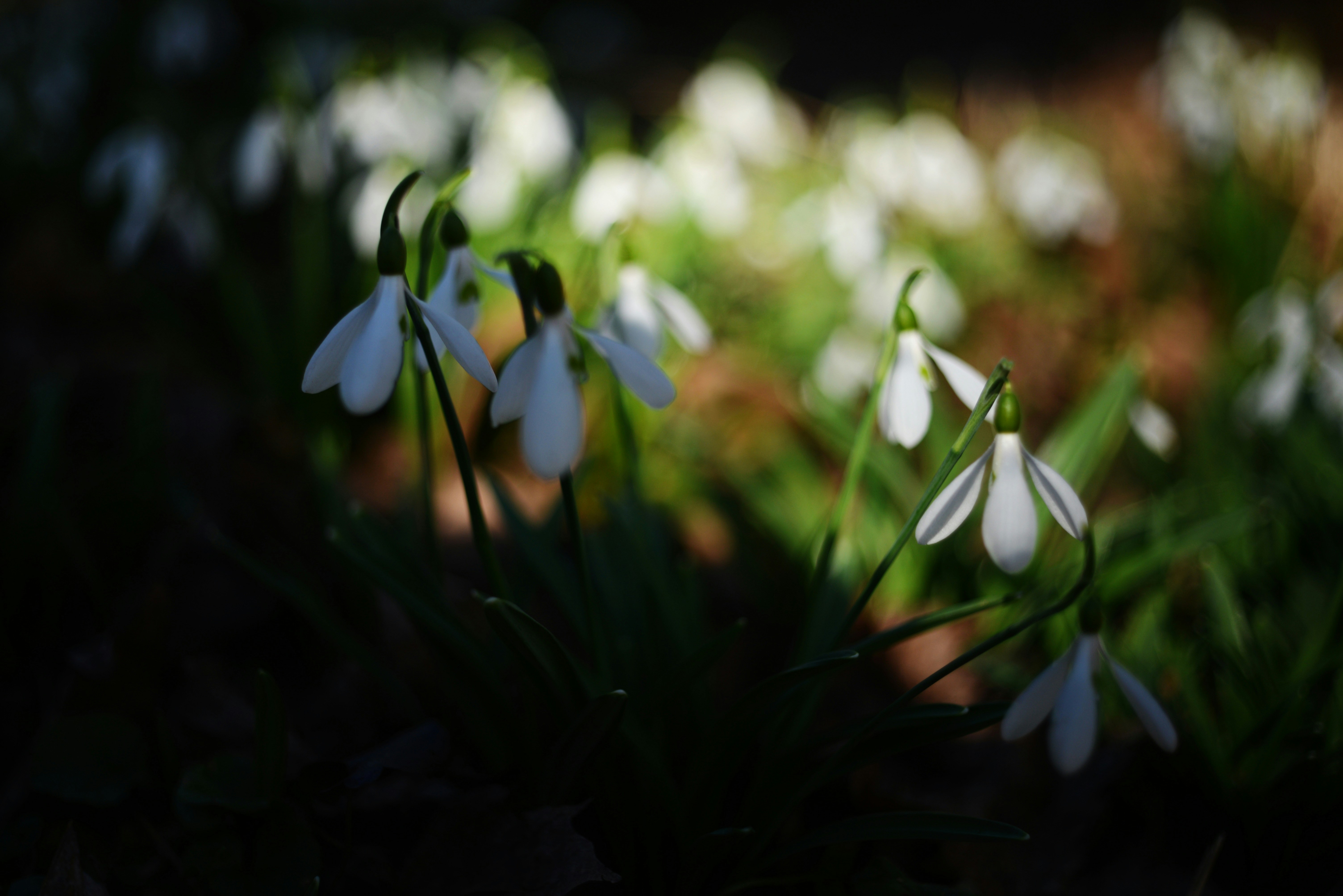 Photo by cherstve_pechivo