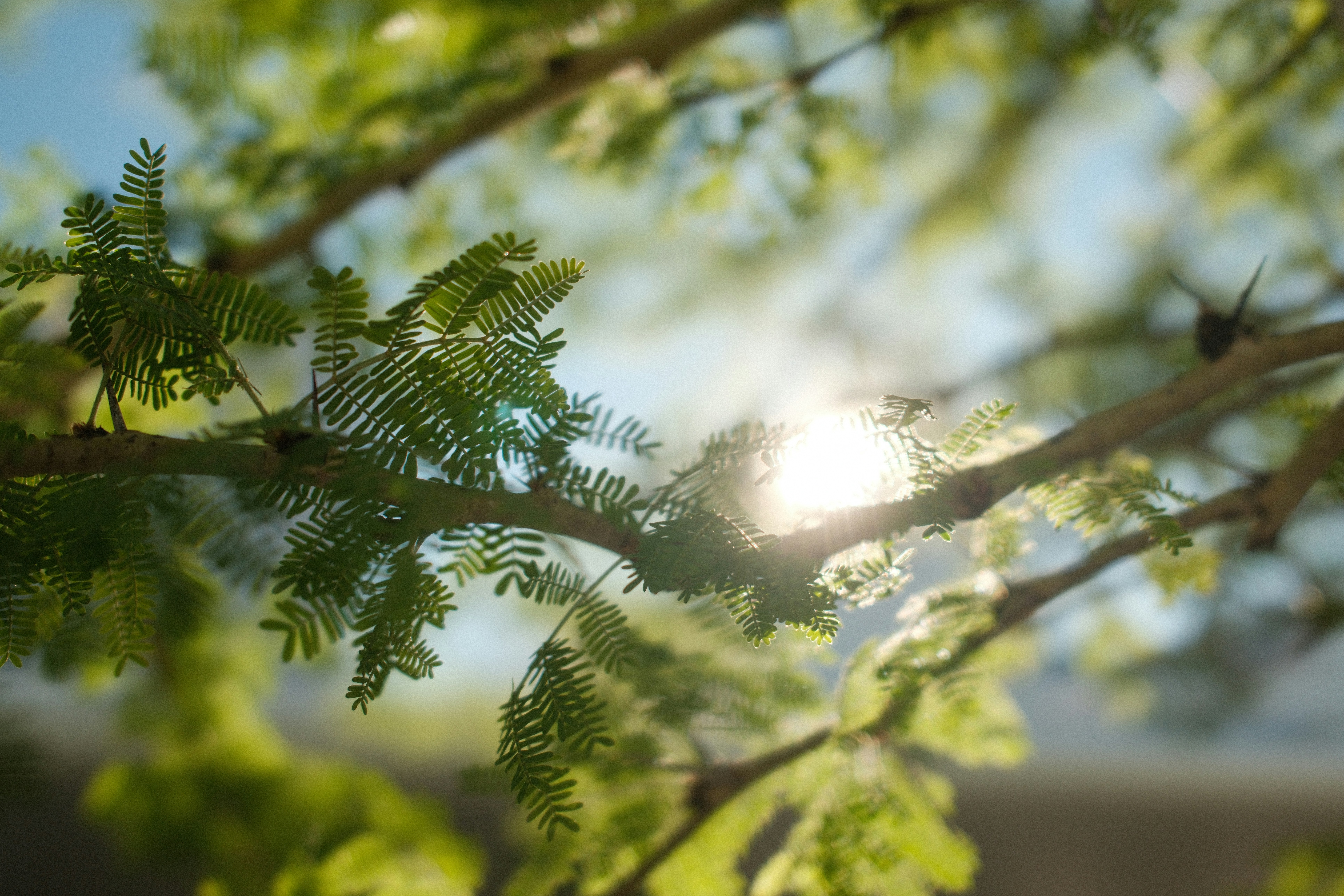 Photo by mattcourtney