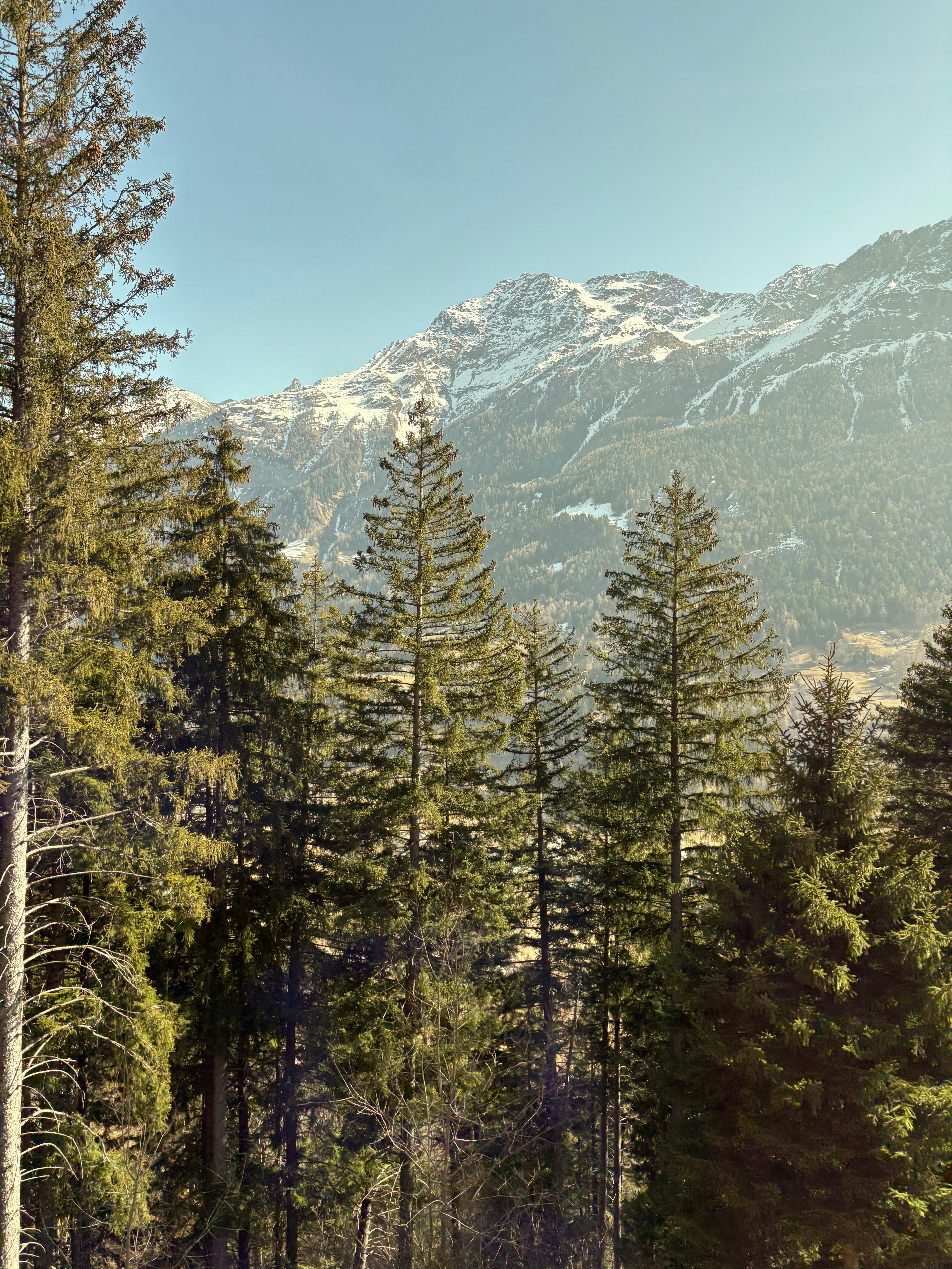 Photo by yodacasadiegos