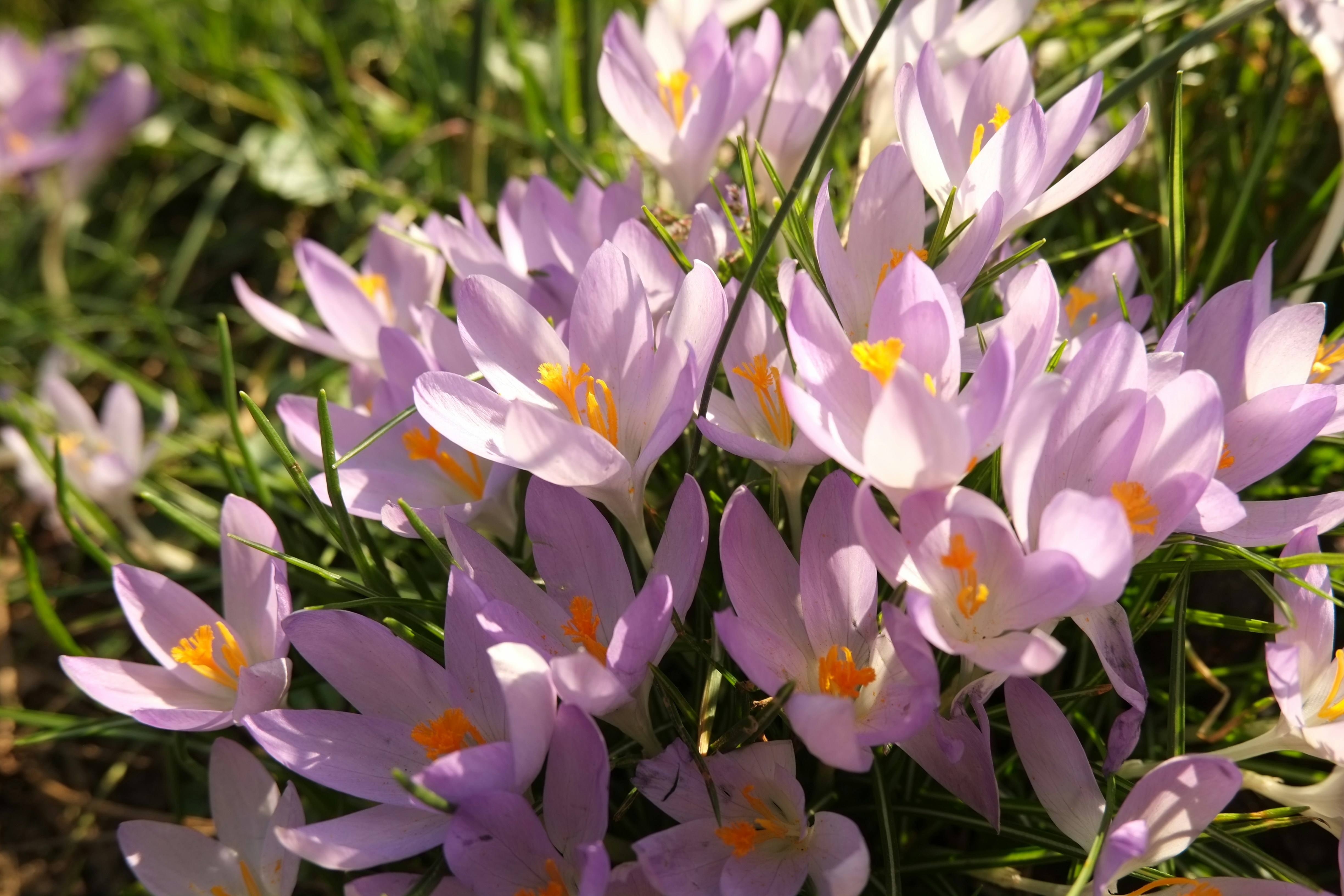 Photo by bernhardbar