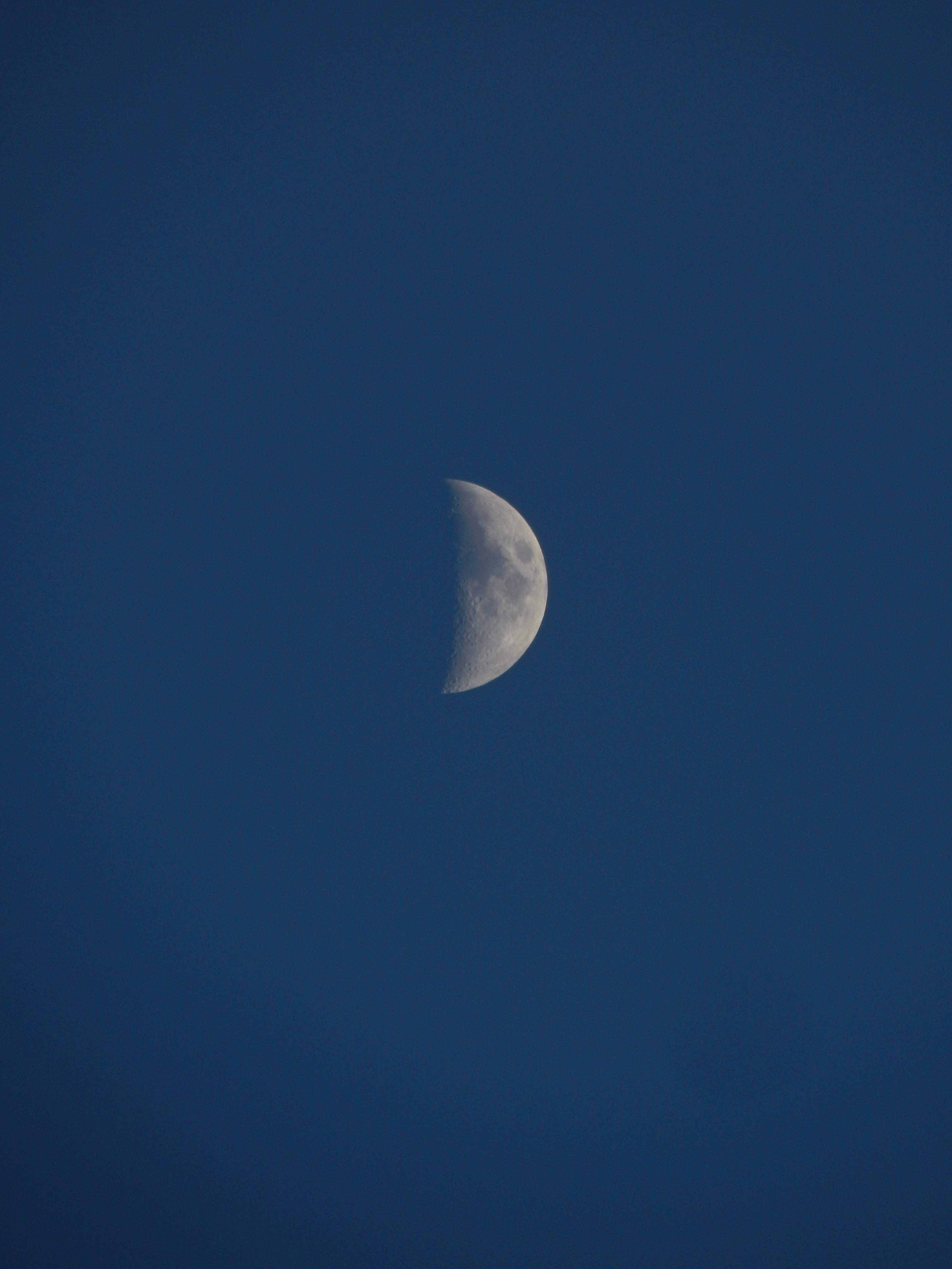 Photo by neoleephoto