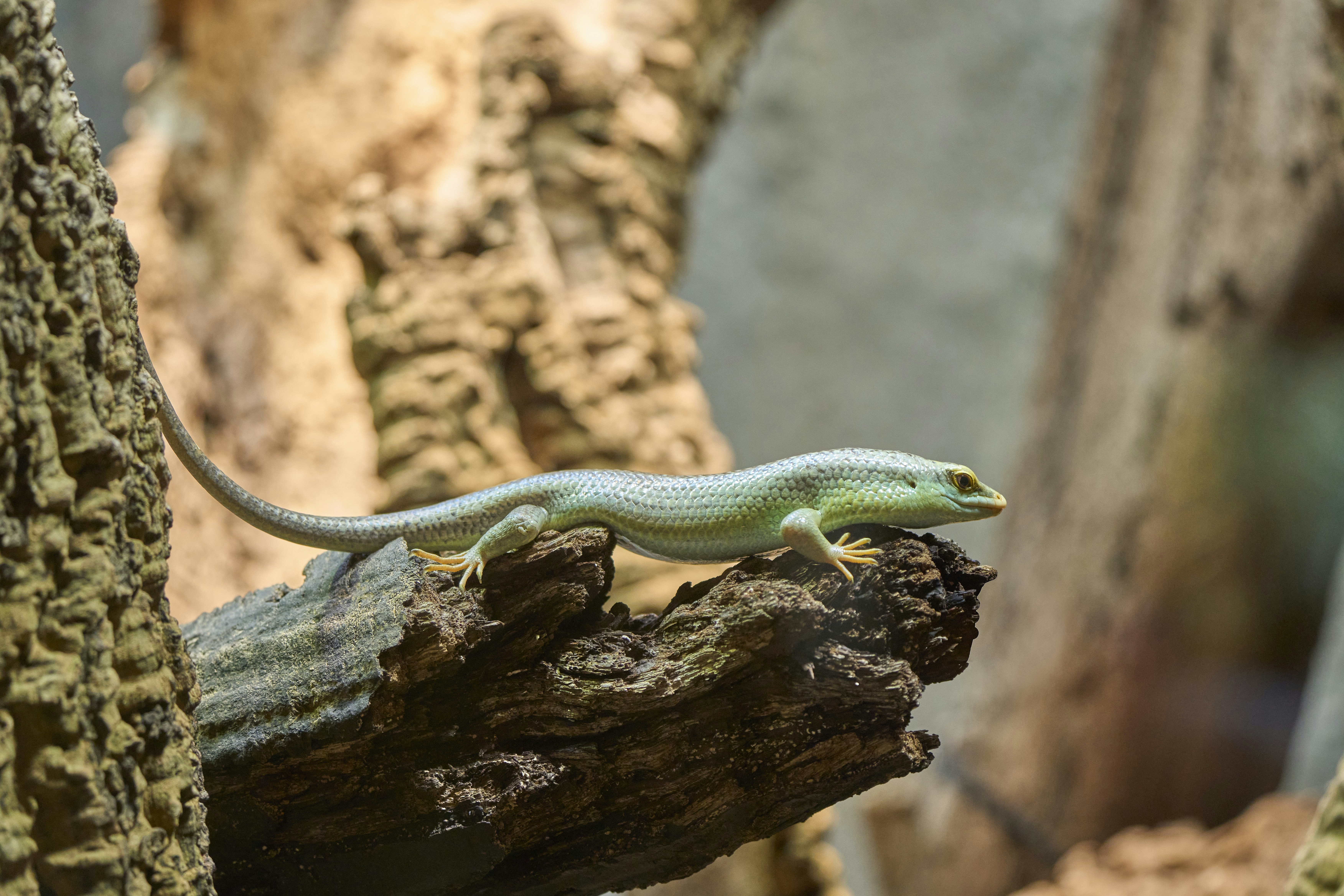 Photo by wolfgang_hasselmann