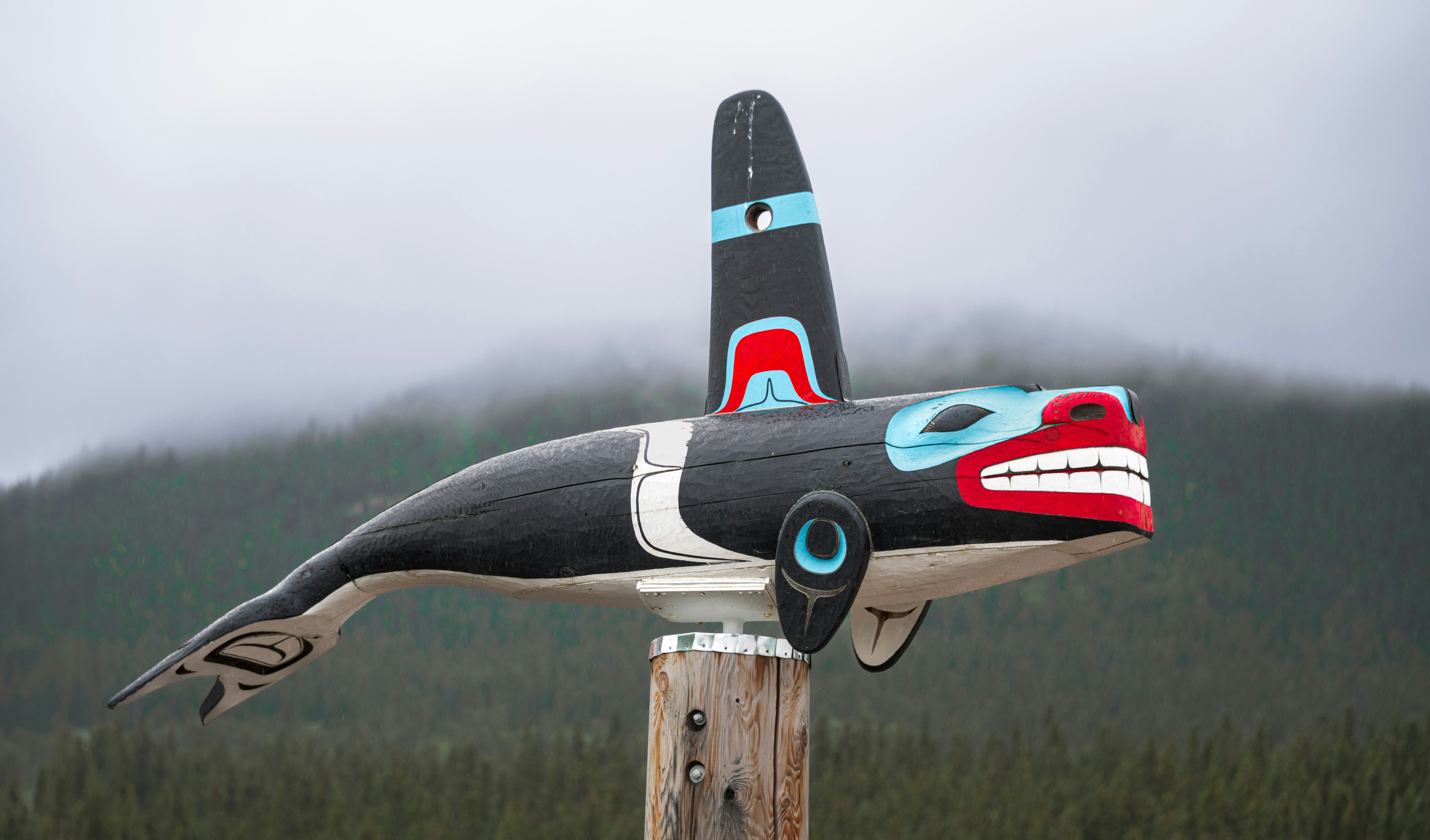 Traditional indigenous wooden carving