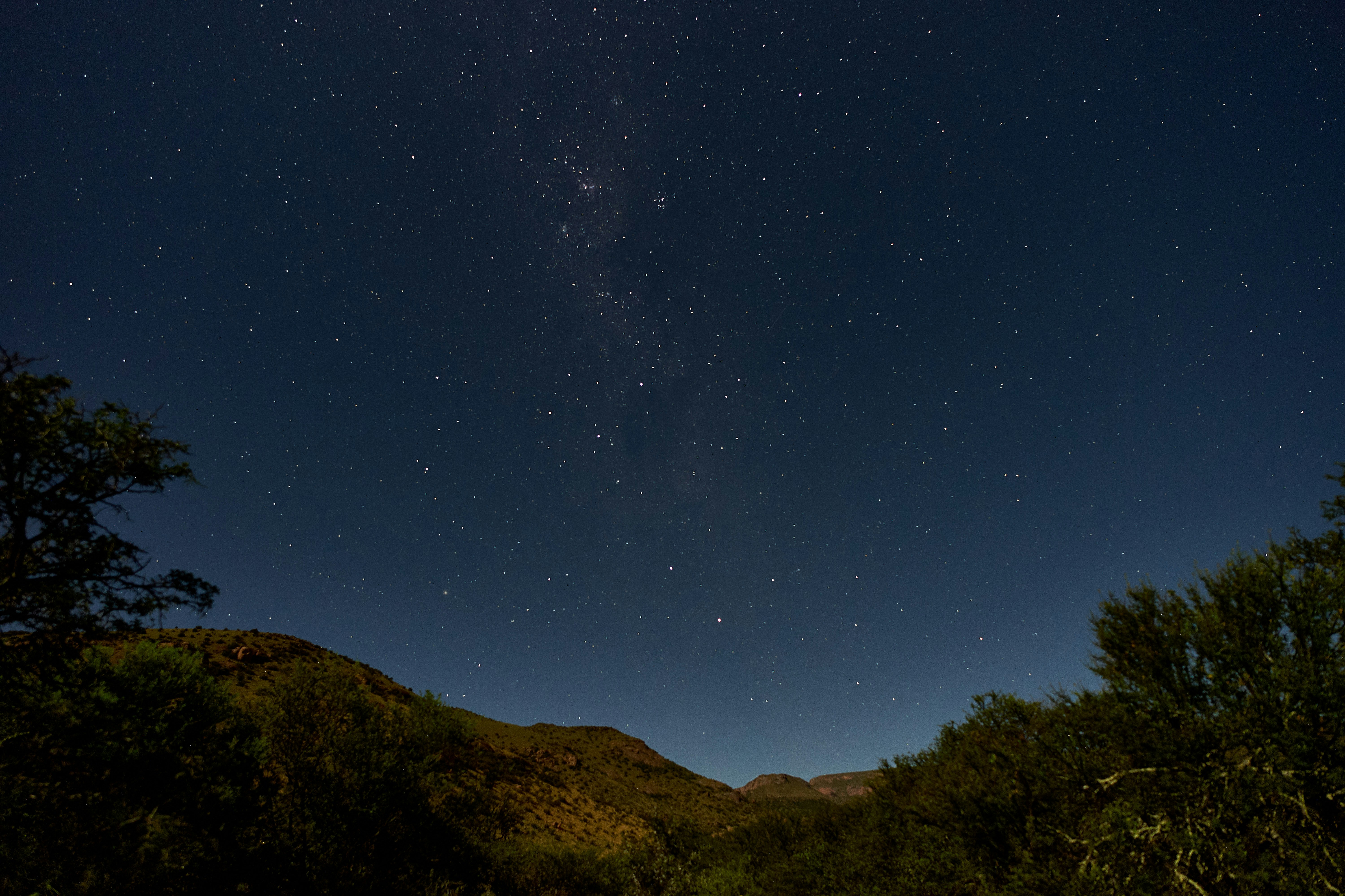 Photo by wolfgang_hasselmann