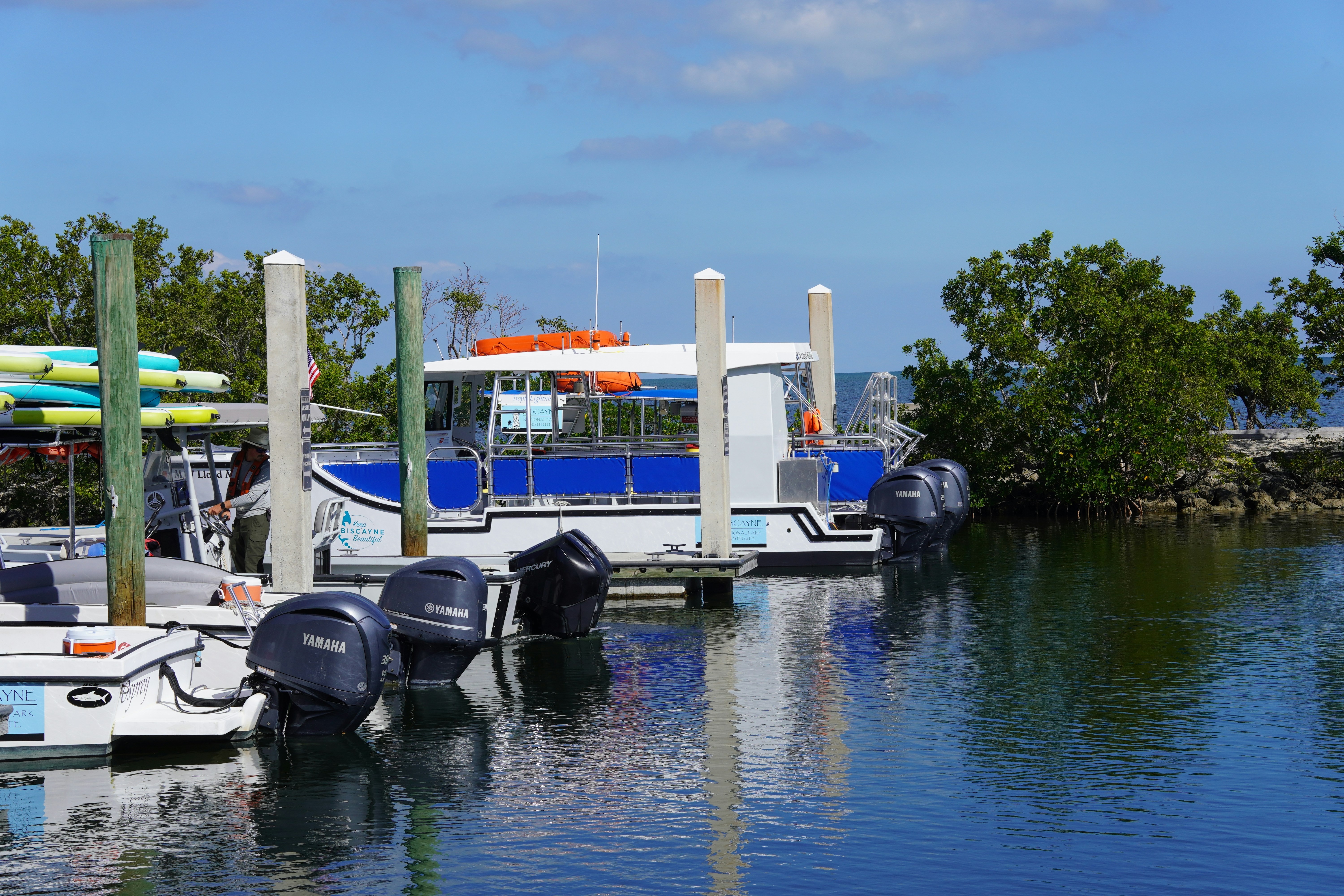 Image by Yansi Keim via Unsplash