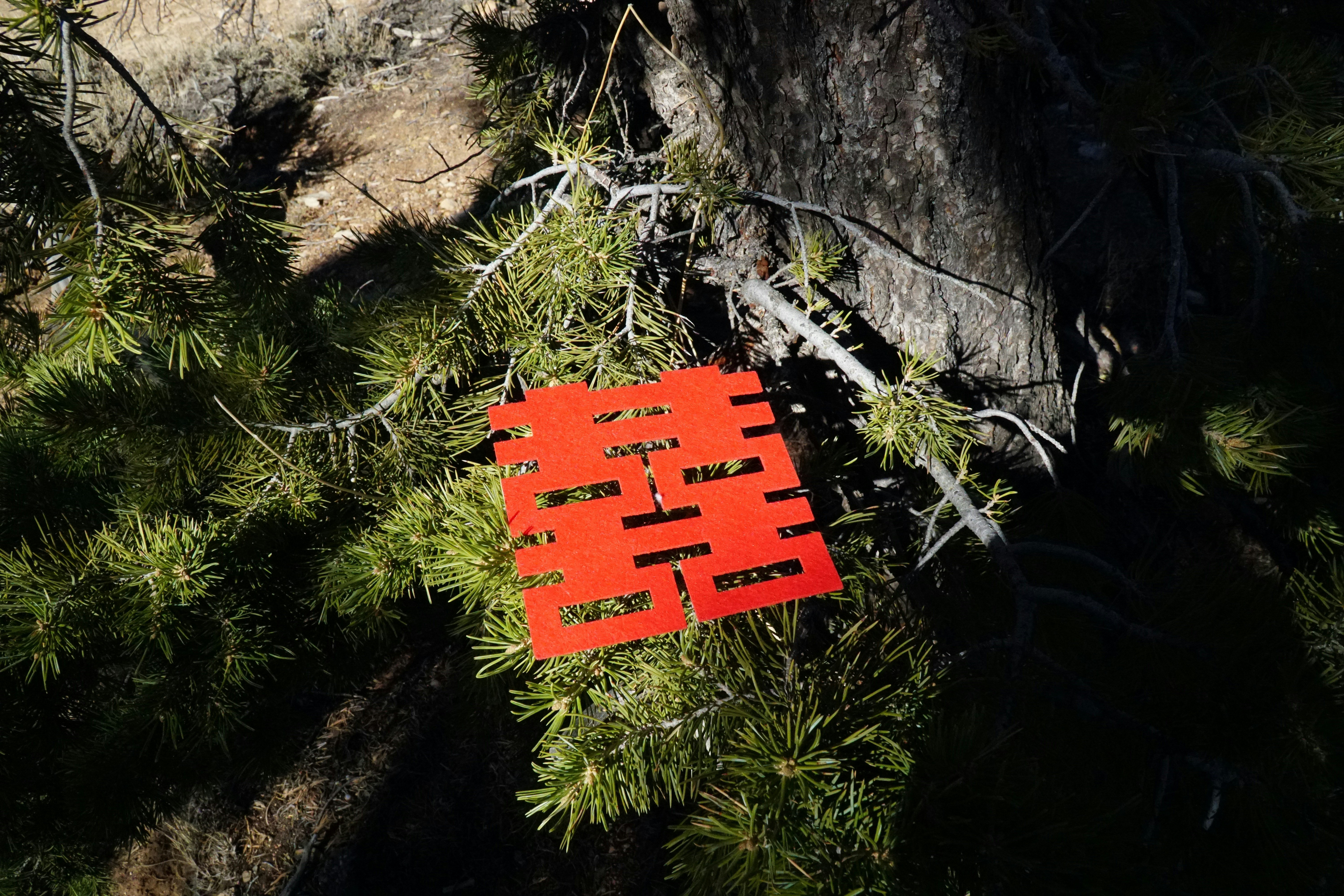 爱情为何迟迟不来？命理老师这样分析她的婚姻八字，句句在理