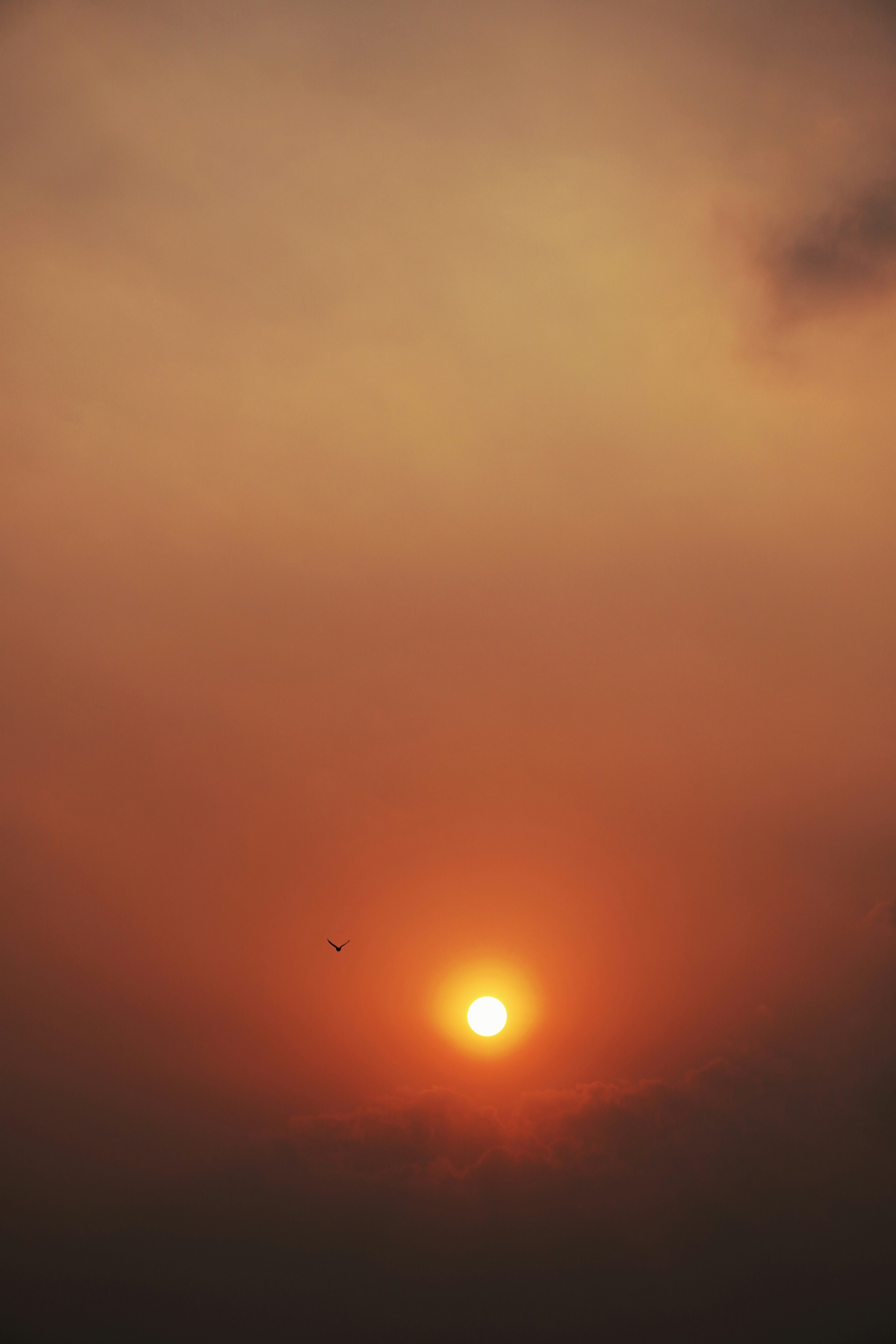 Photo by themayurkumbhar