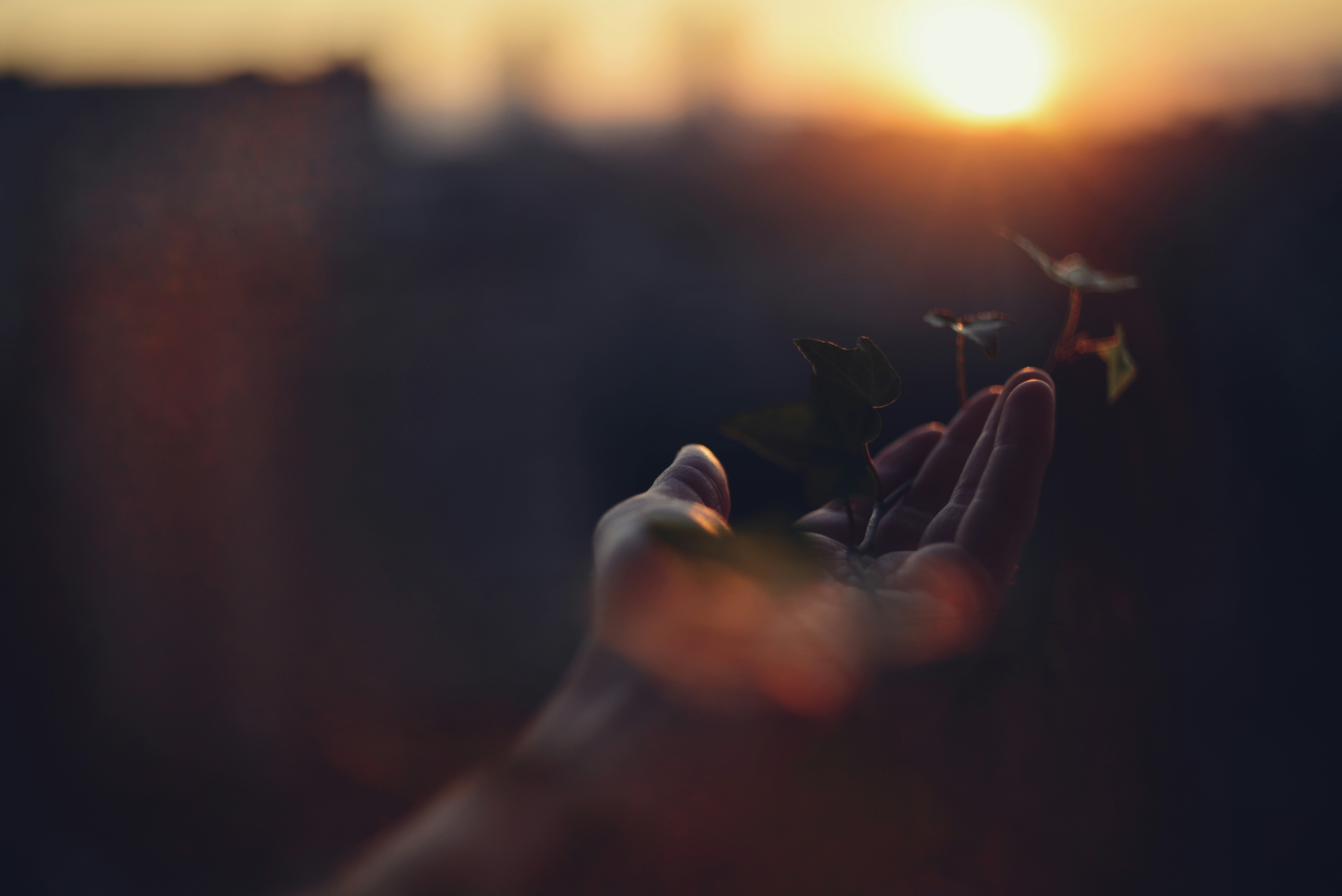 Photo by cherstve_pechivo