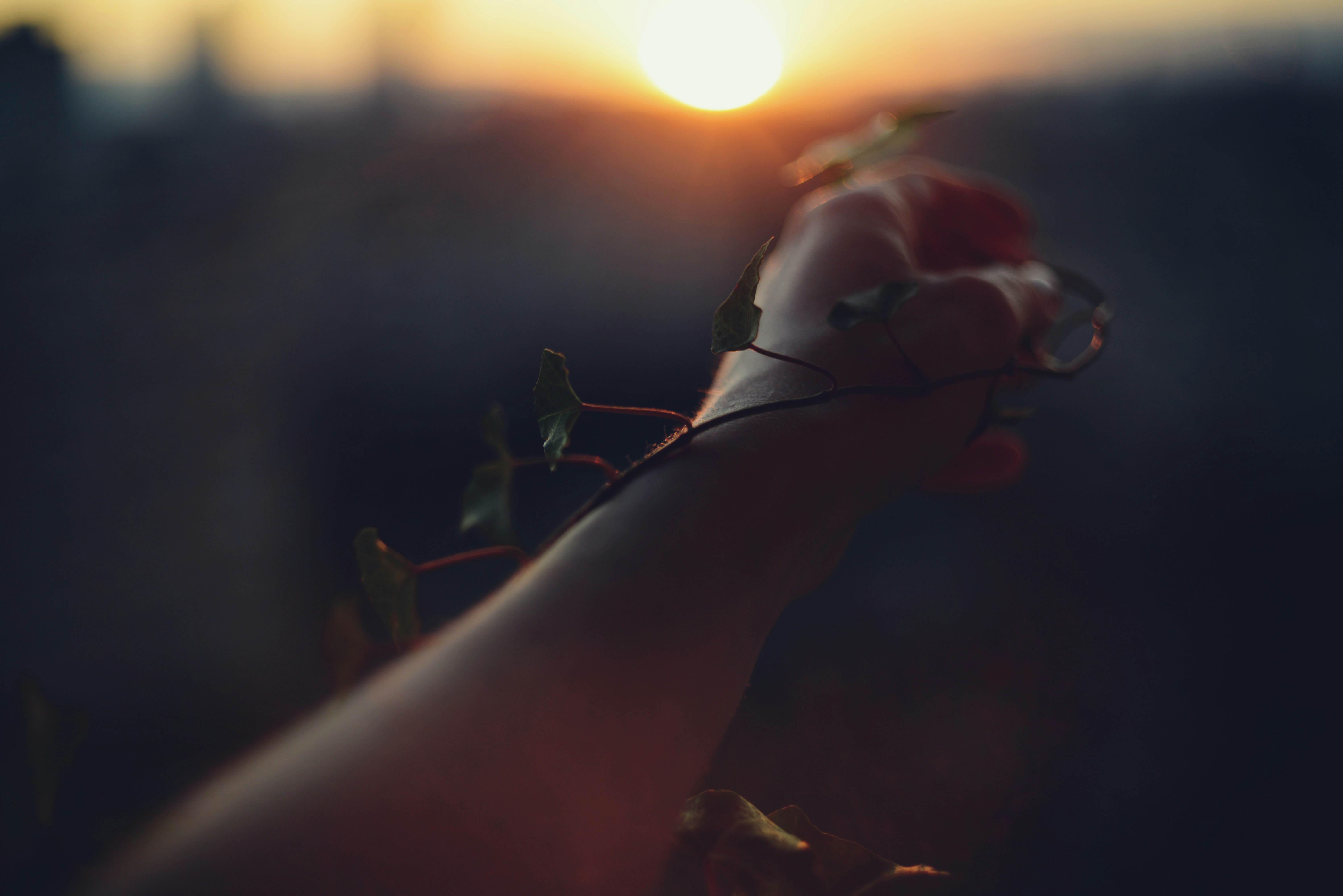 Photo by cherstve_pechivo