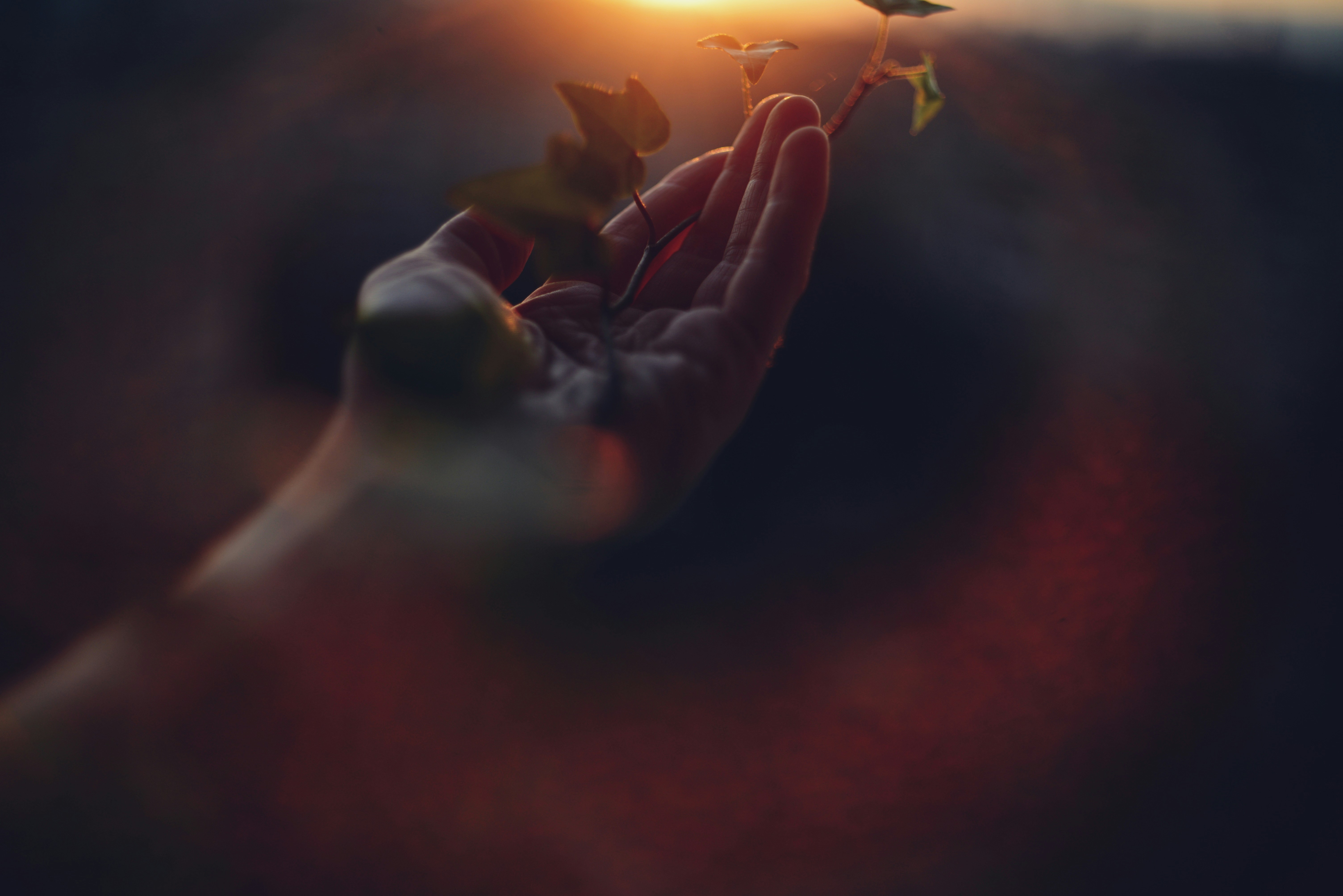 Photo by cherstve_pechivo