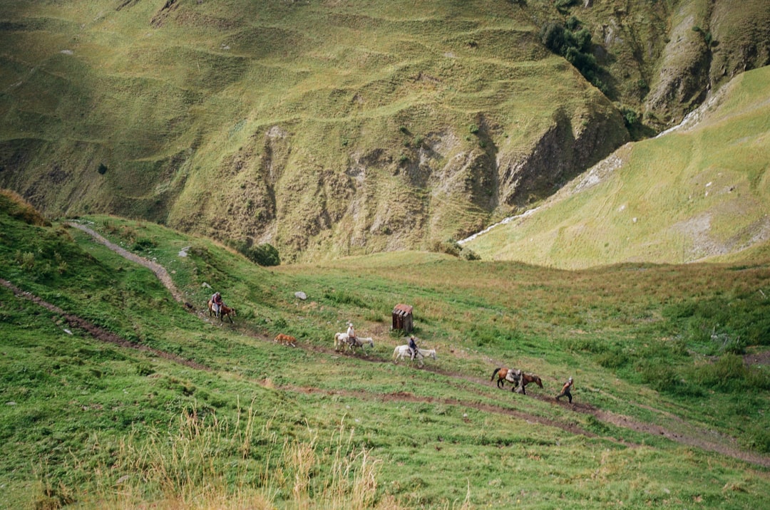 People and horses traverse a grassy, mountainous landscape.