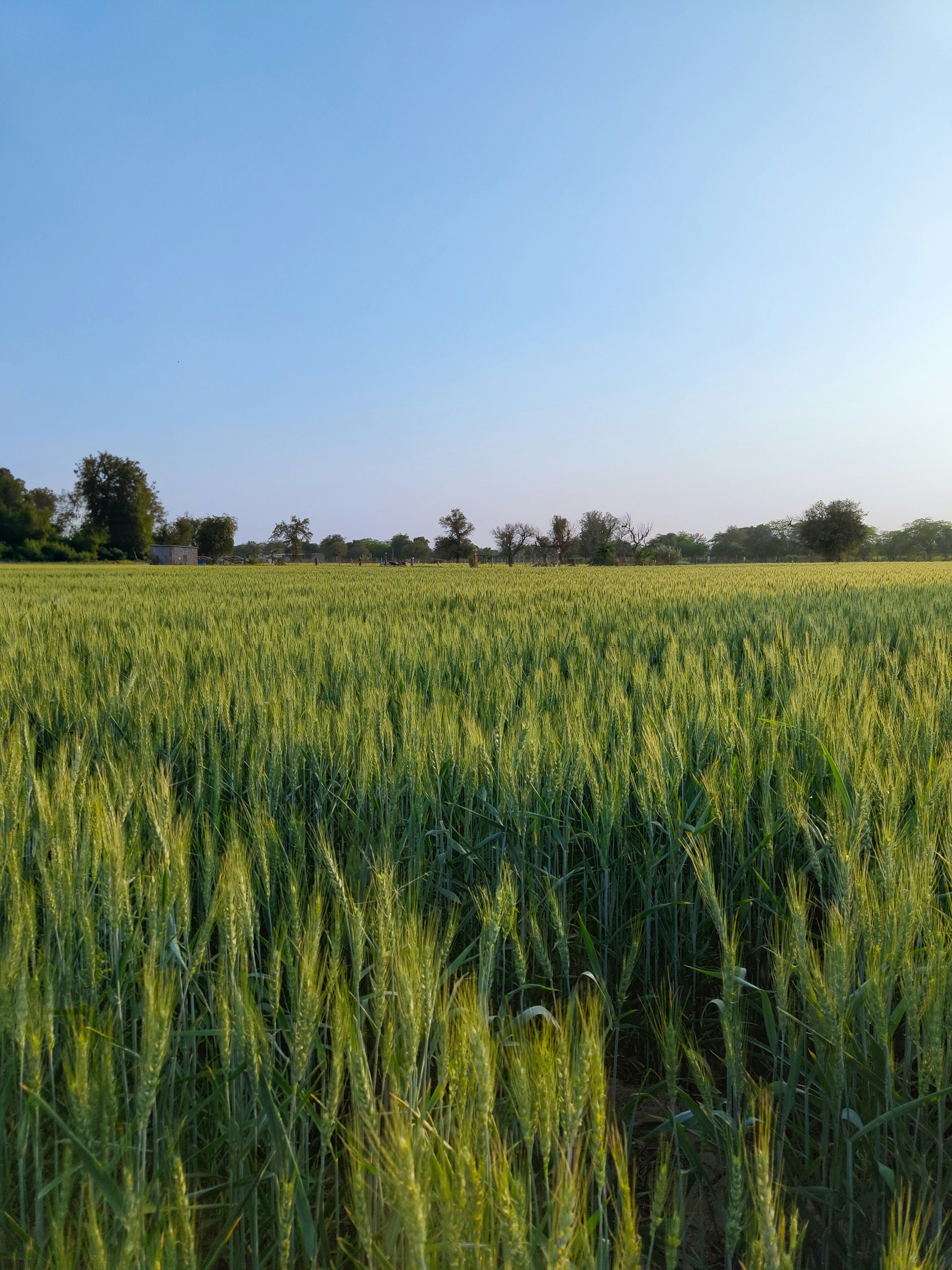 Photo by forever_knight