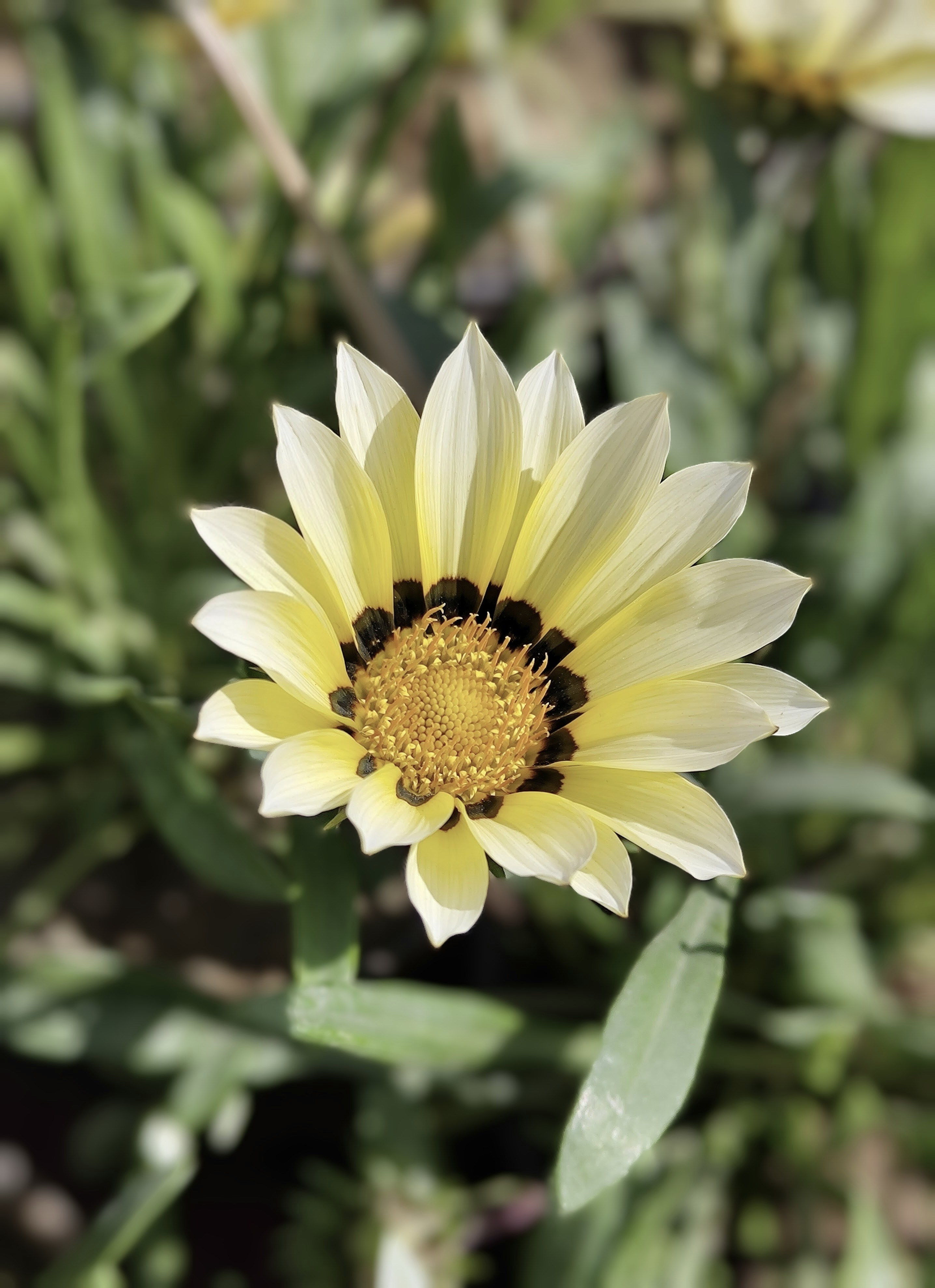 Photo by forever_knight