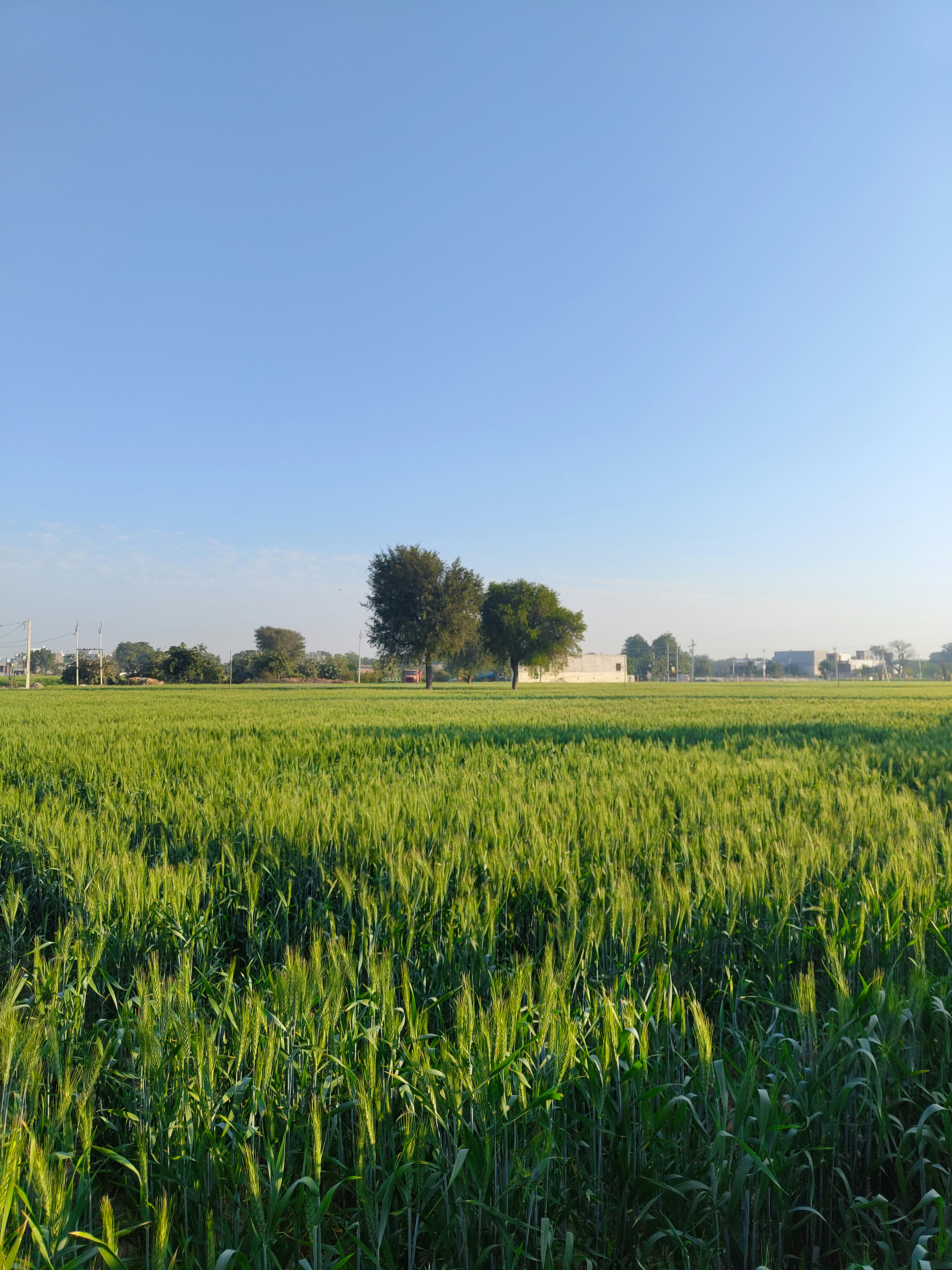 Photo by forever_knight