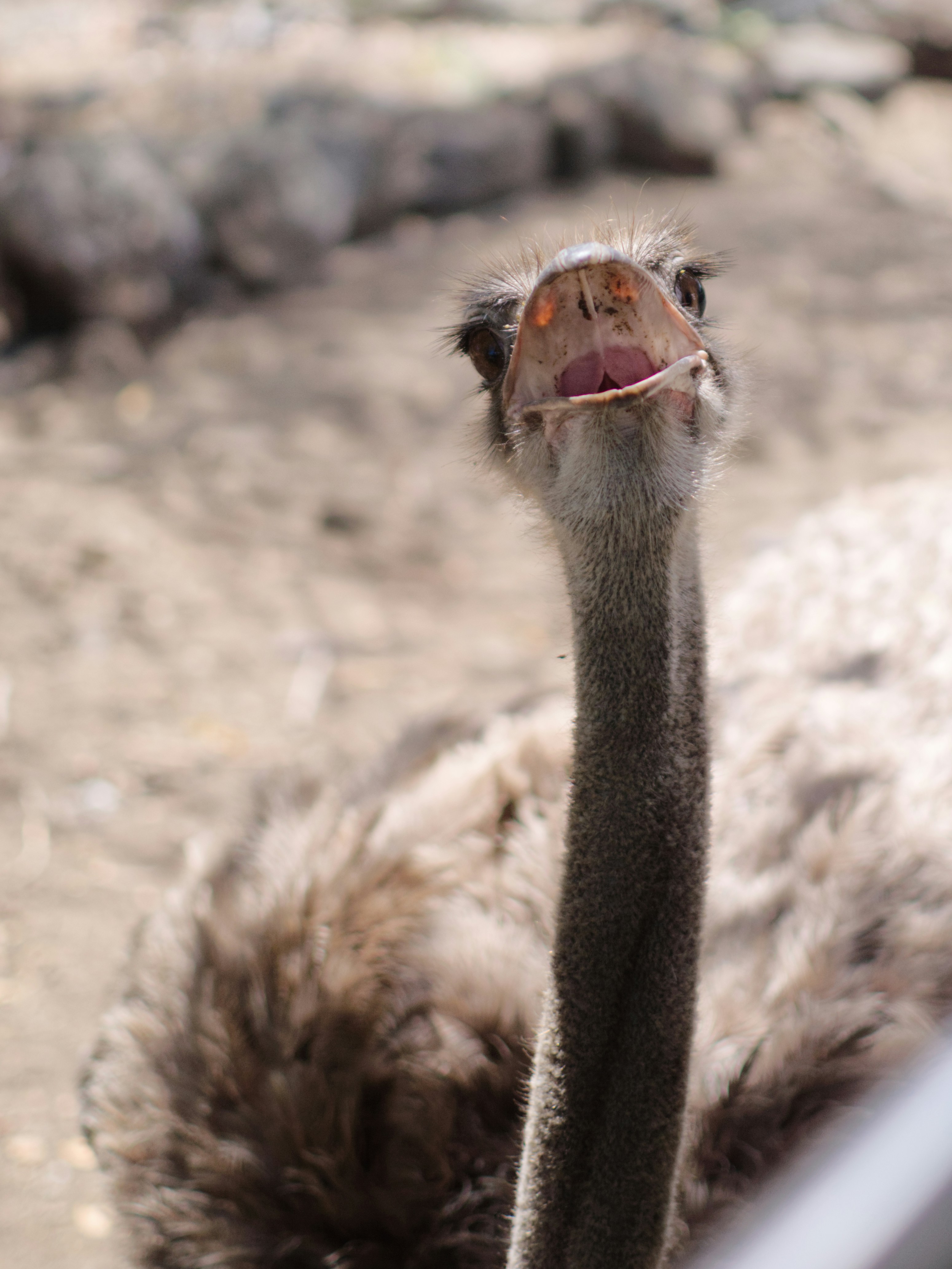 Photo by sabazioccivanza