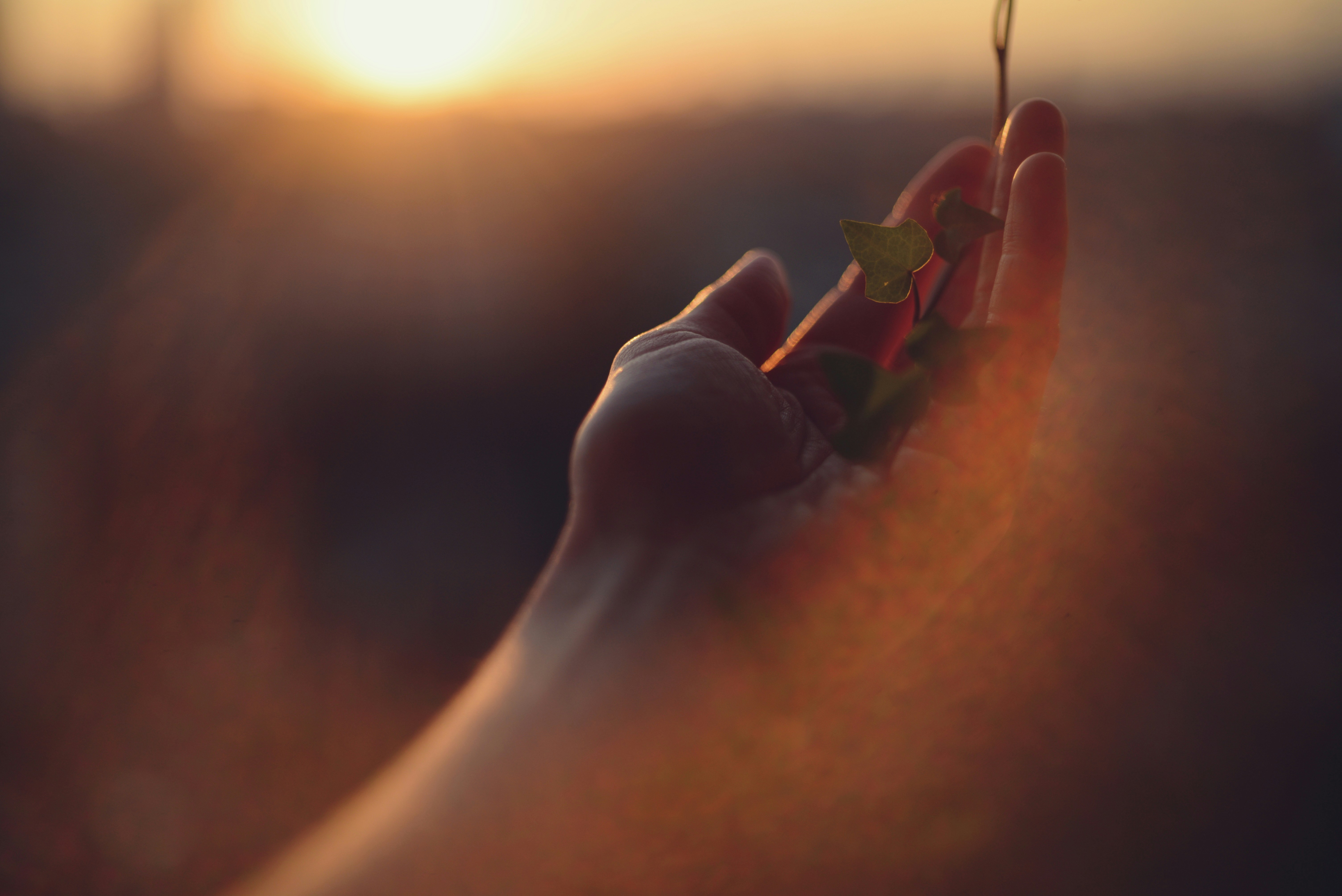 Photo by cherstve_pechivo