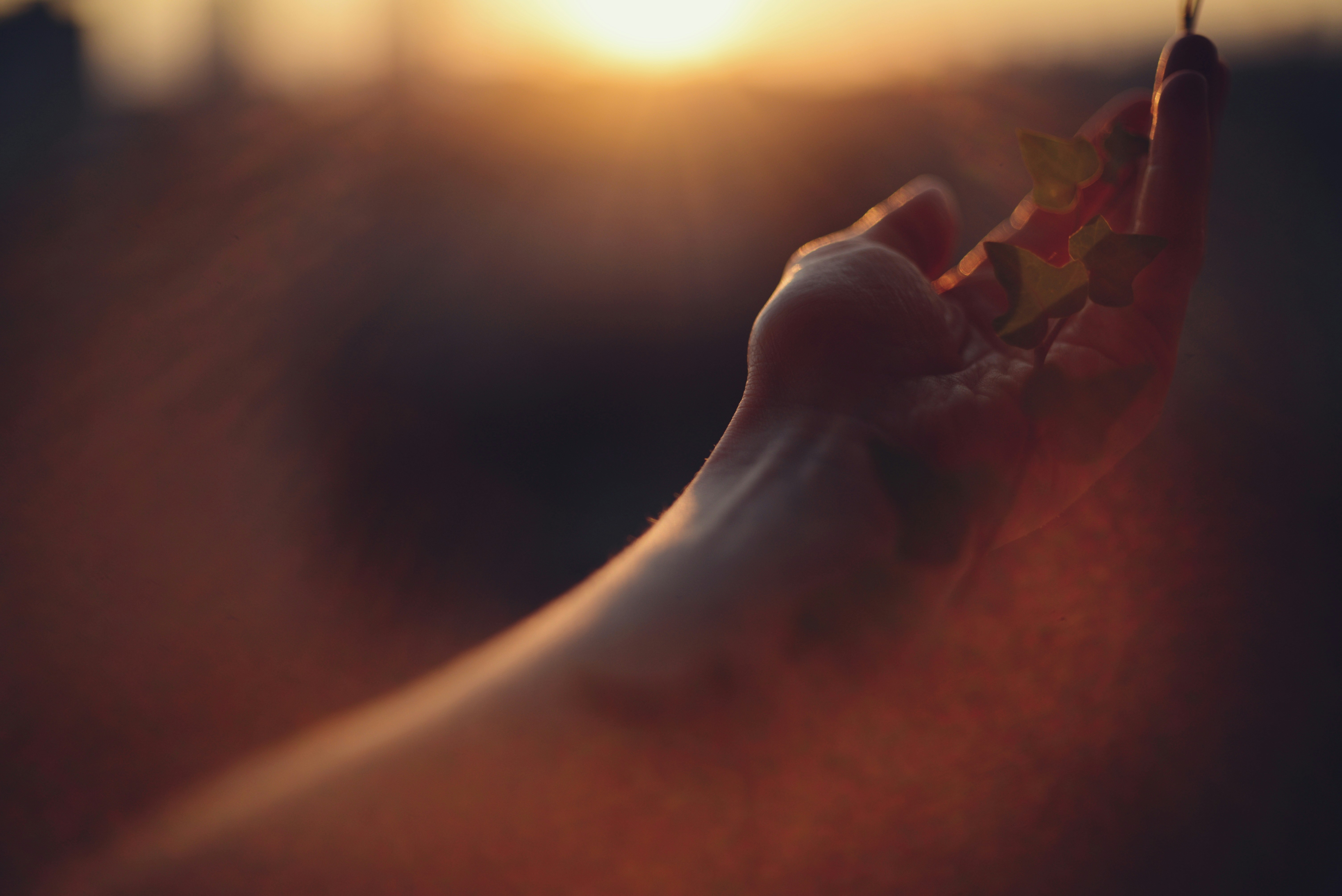 Photo by cherstve_pechivo