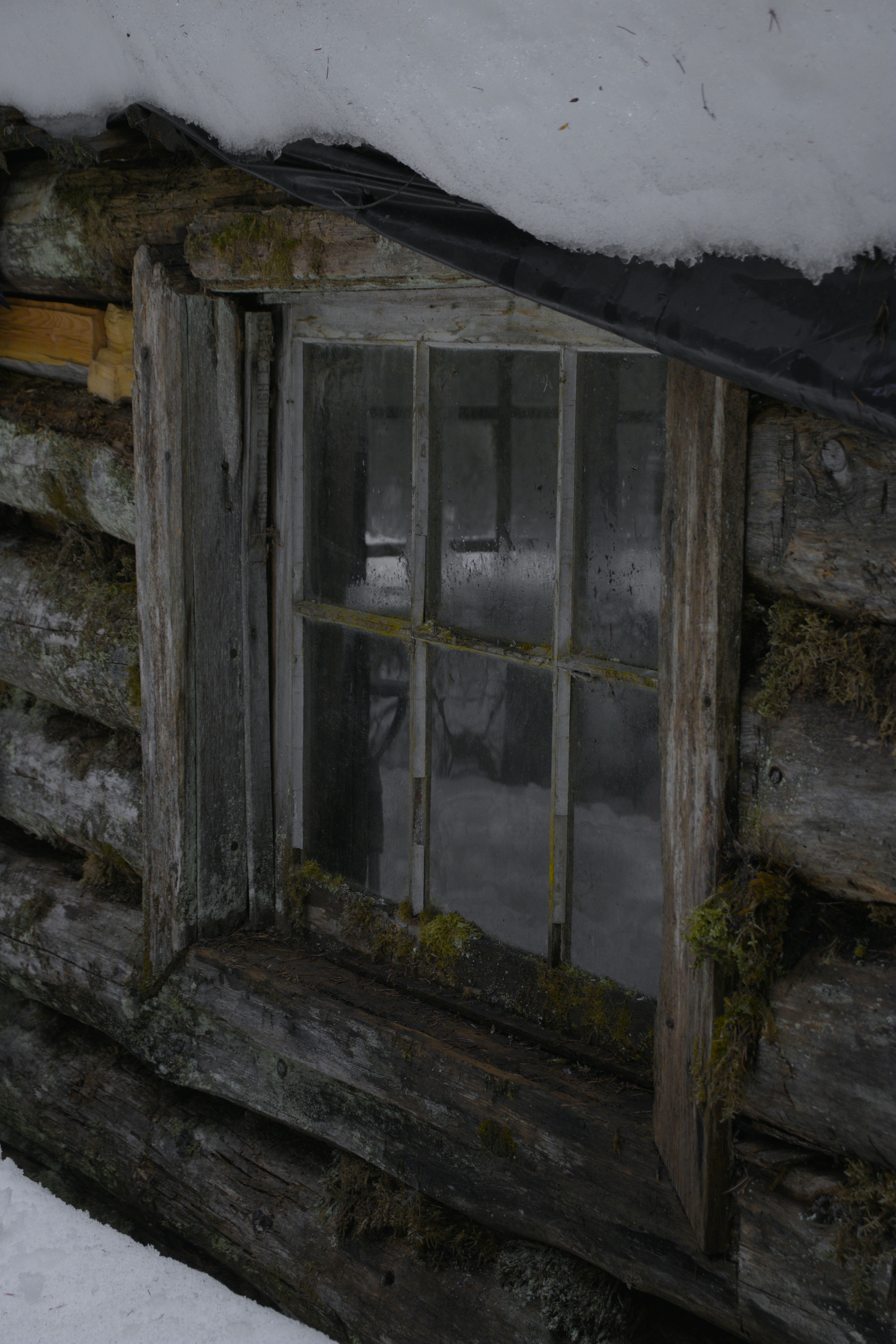 Photo by canyonswartz