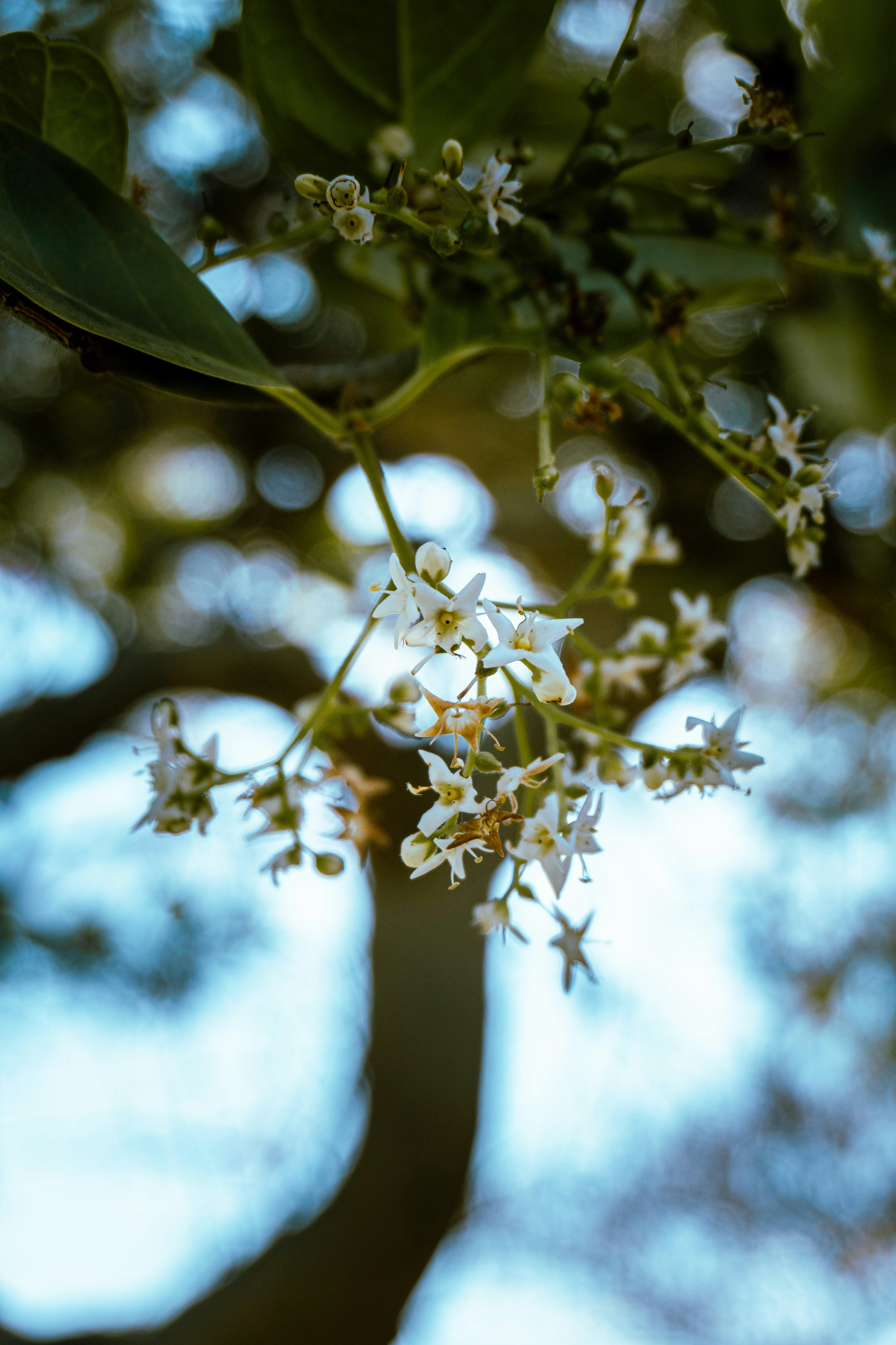 Photo by abhishektirkey