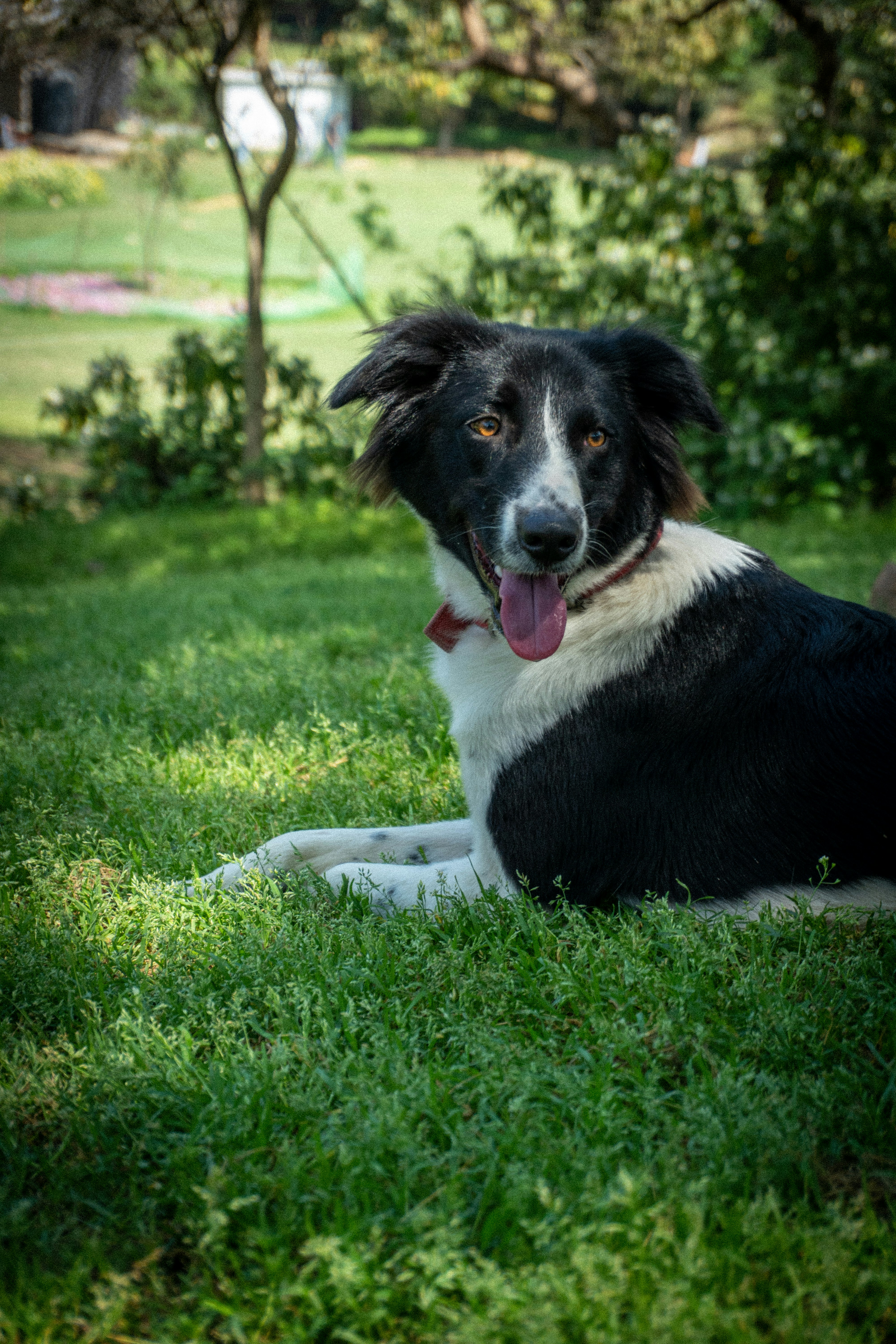 Photo by abhishektirkey