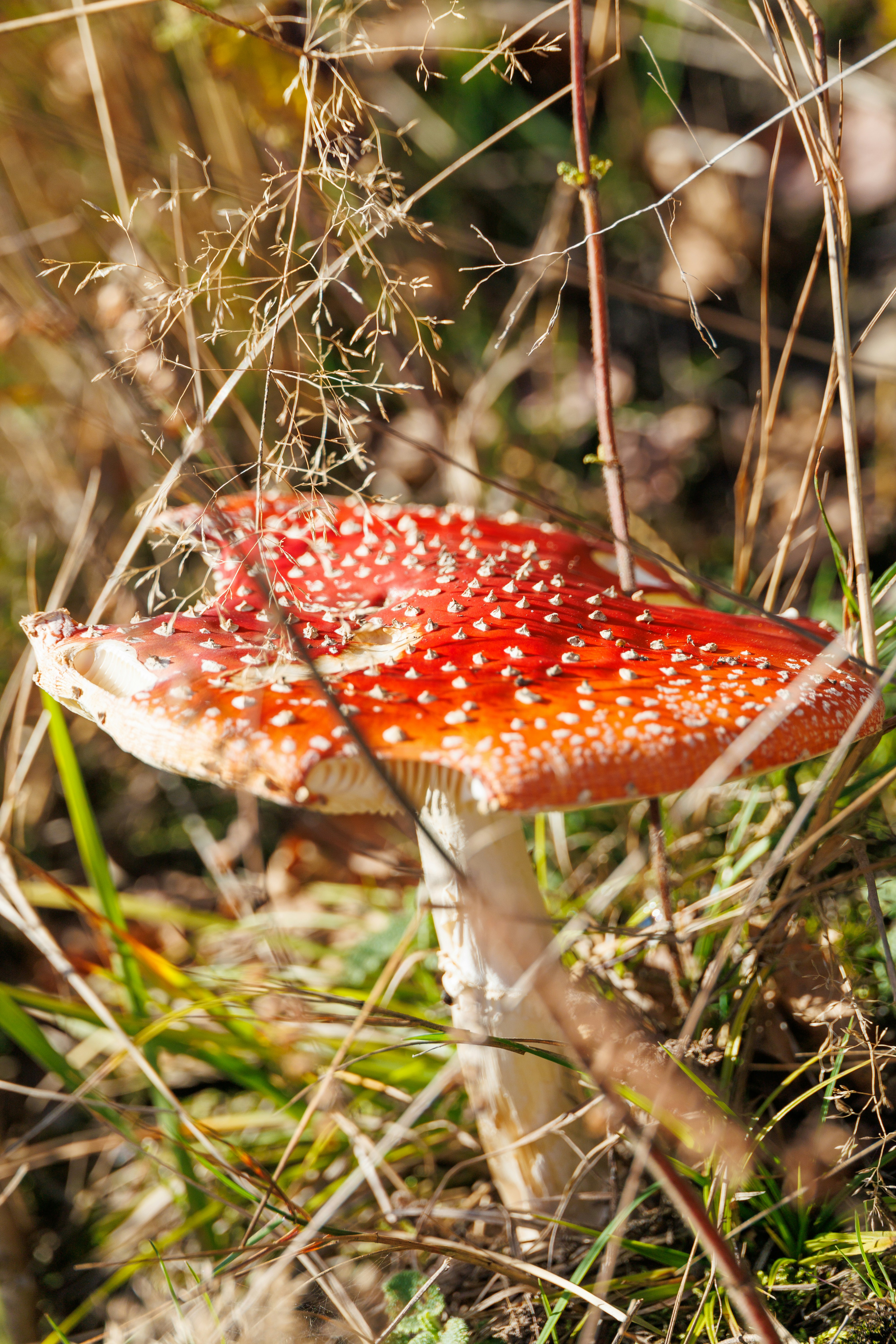 Photo by stockbirken