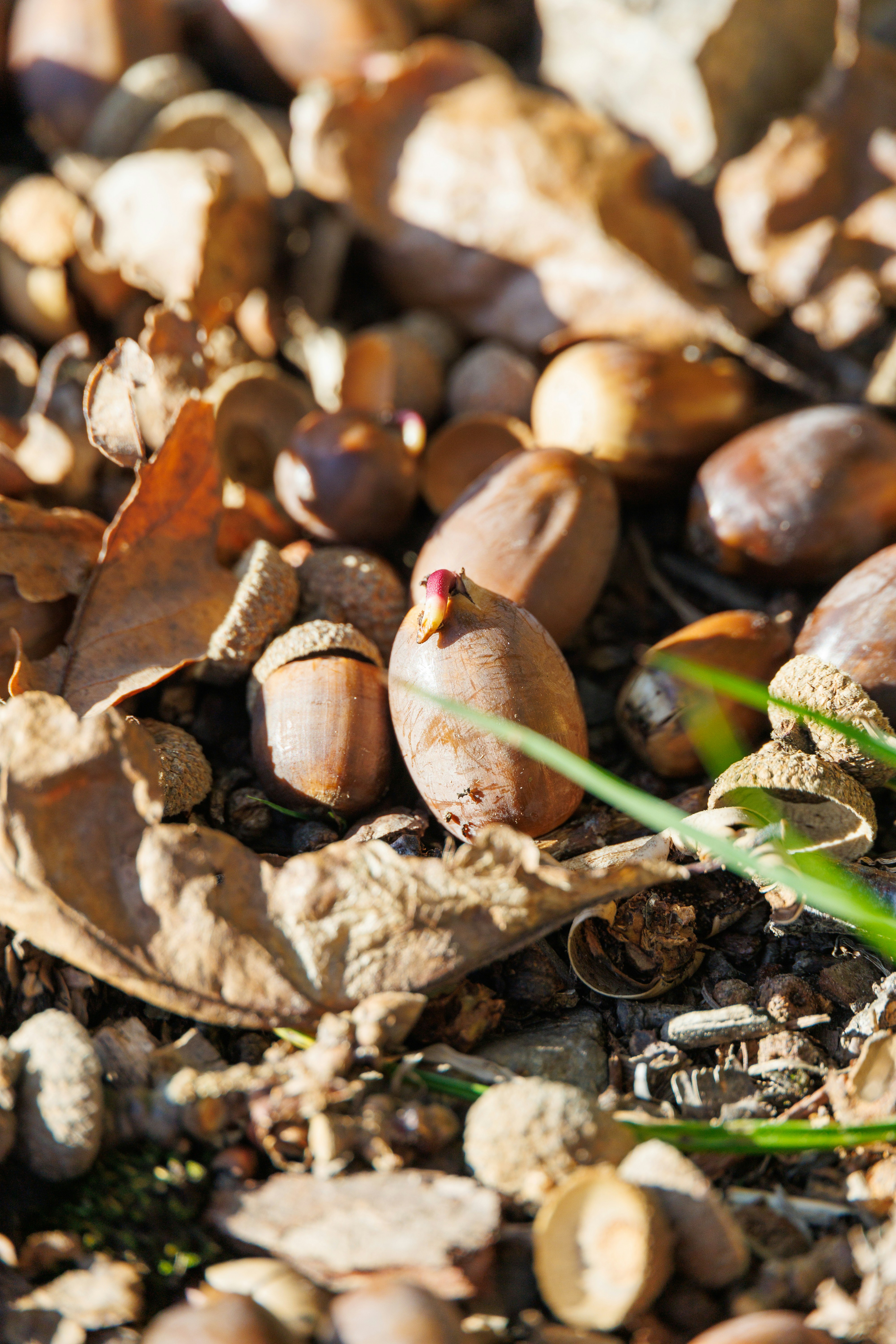 Photo by stockbirken