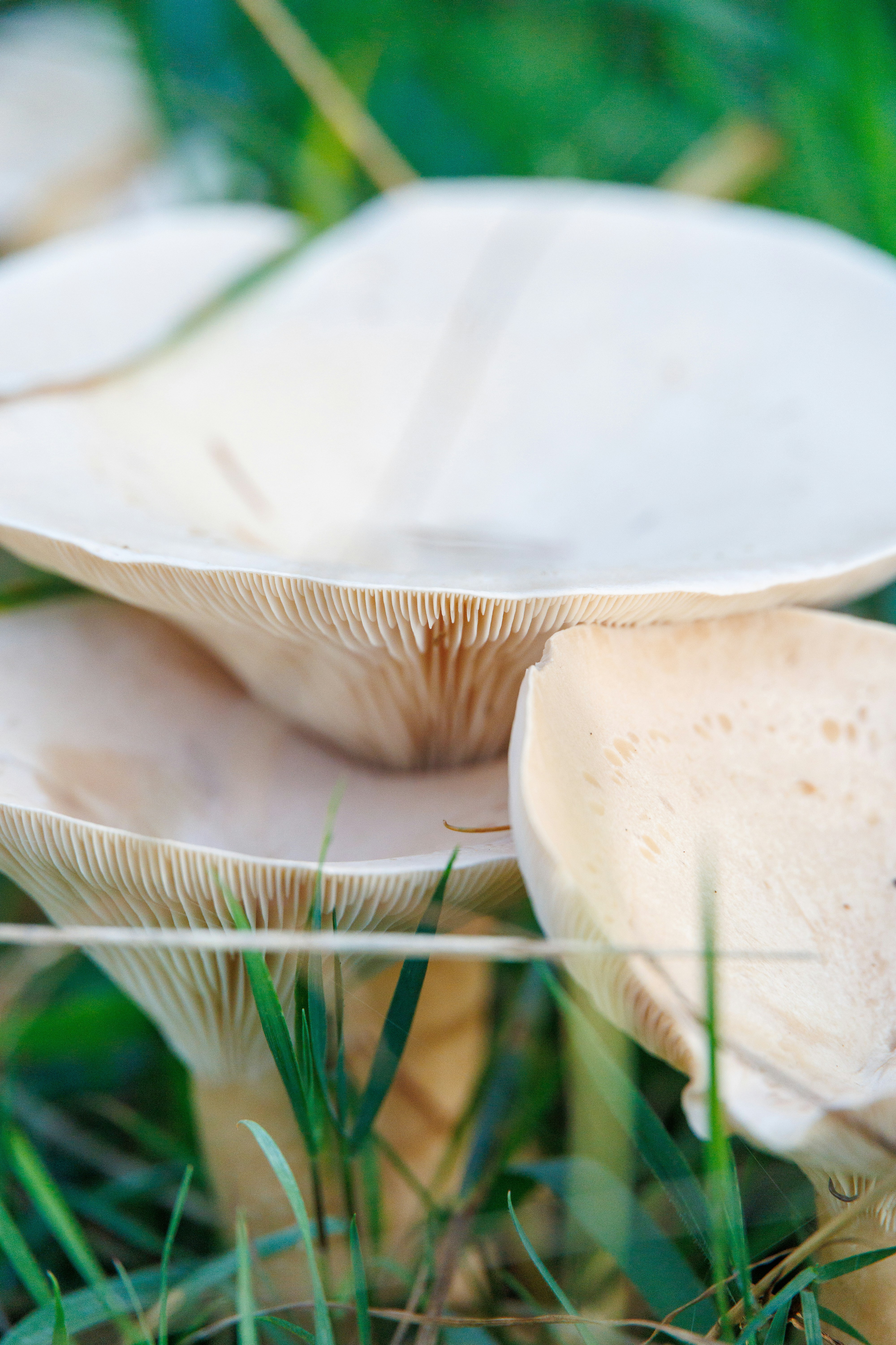 Photo by stockbirken