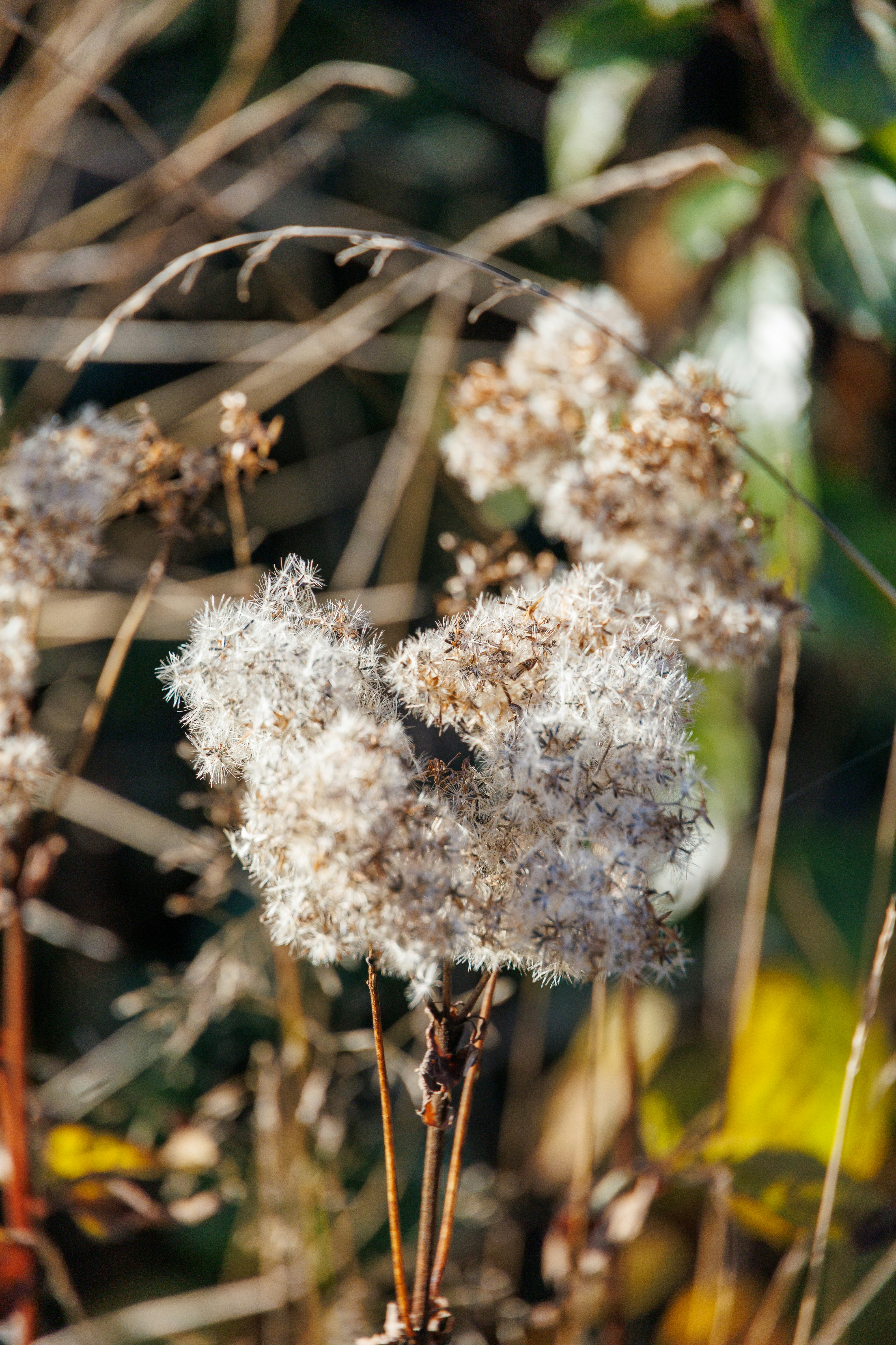 Photo by stockbirken