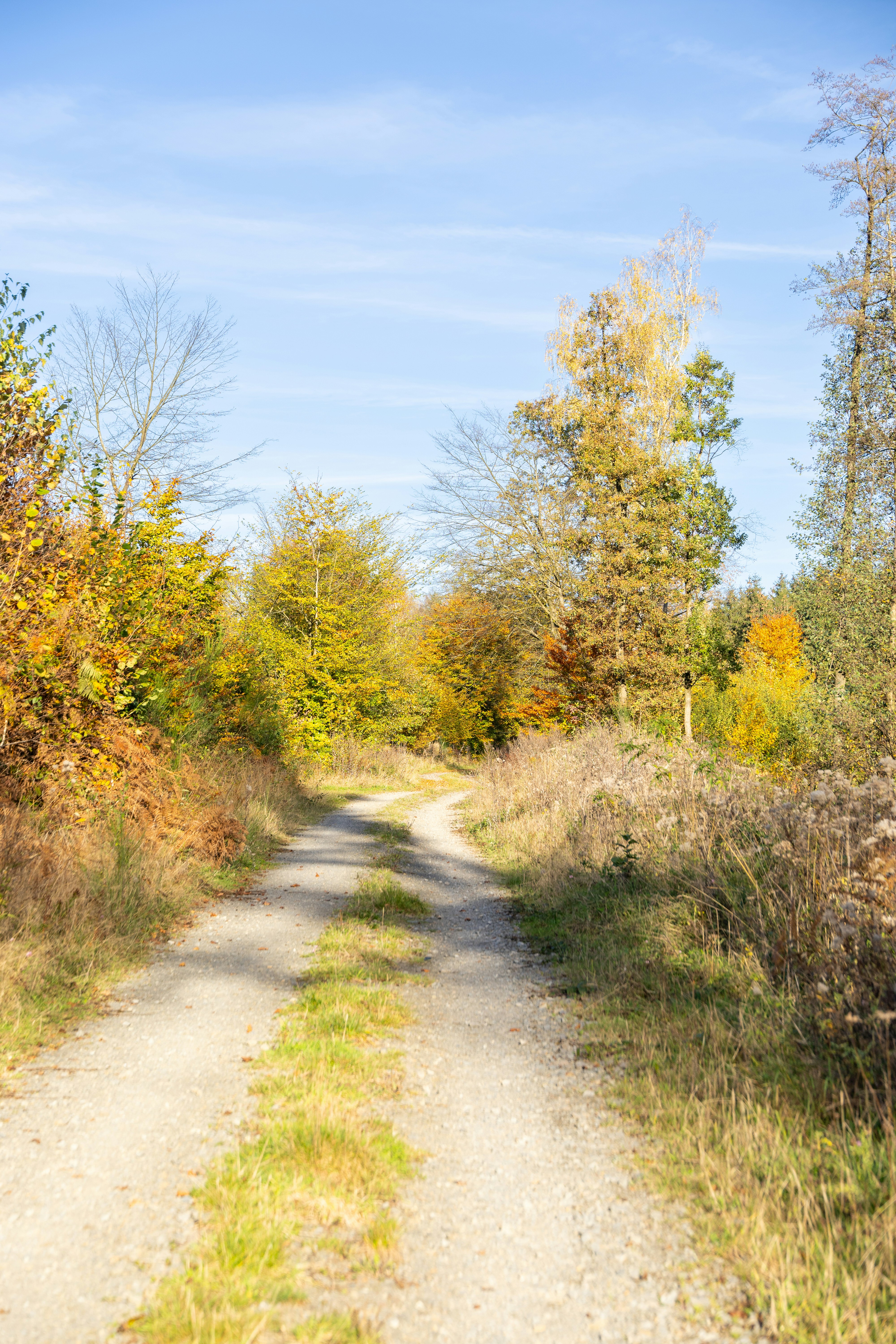 Photo by stockbirken