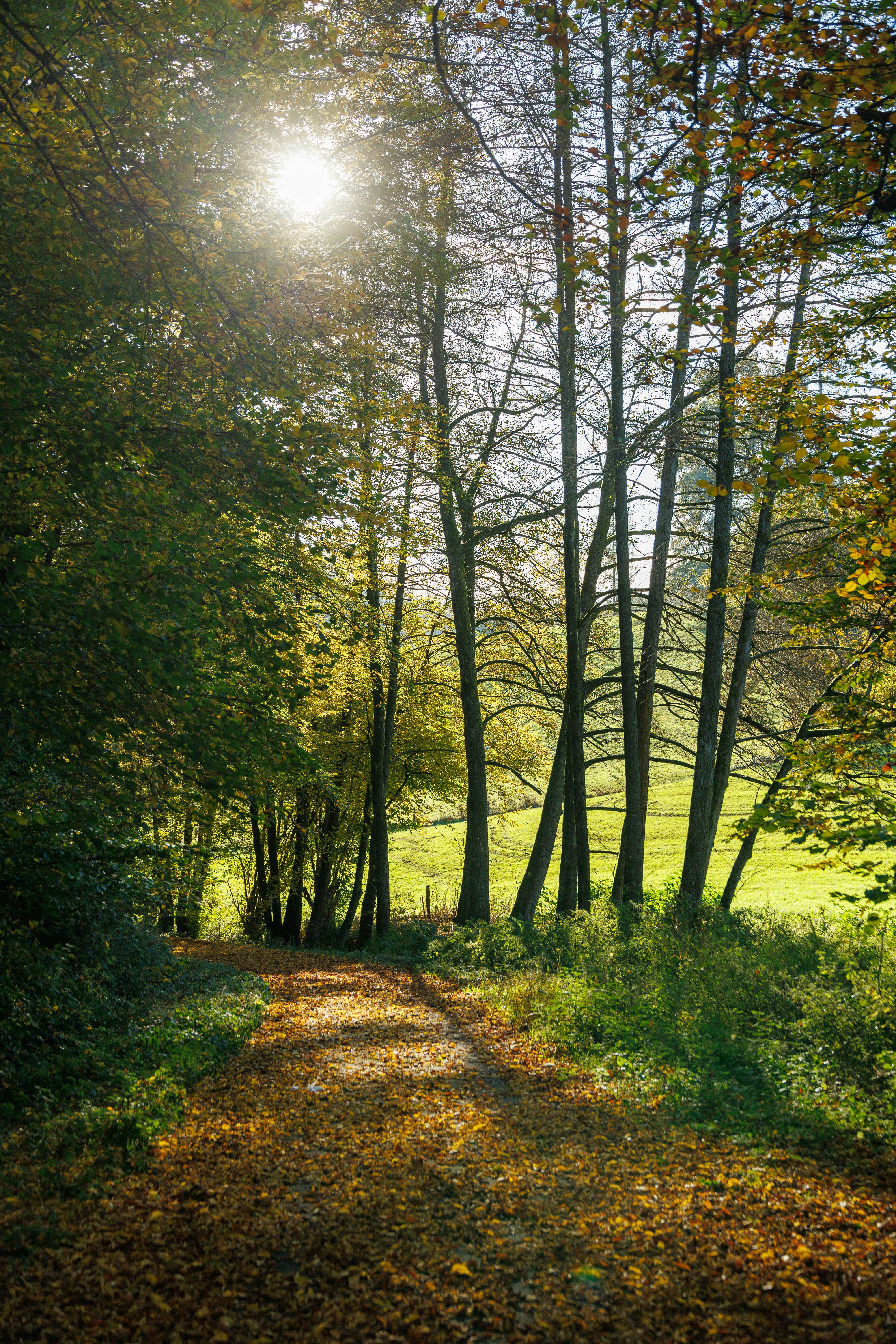 Photo by stockbirken