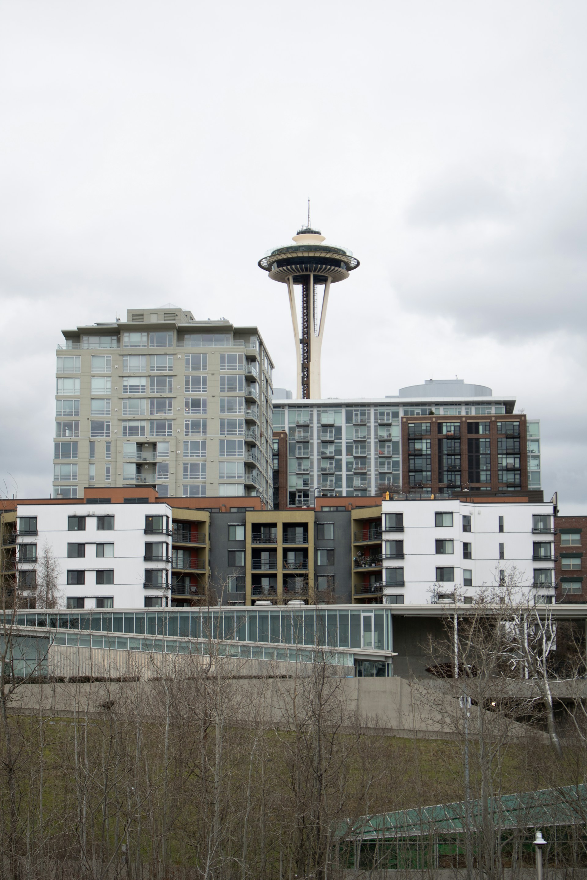 Seattle's space needle towers above city buildings.