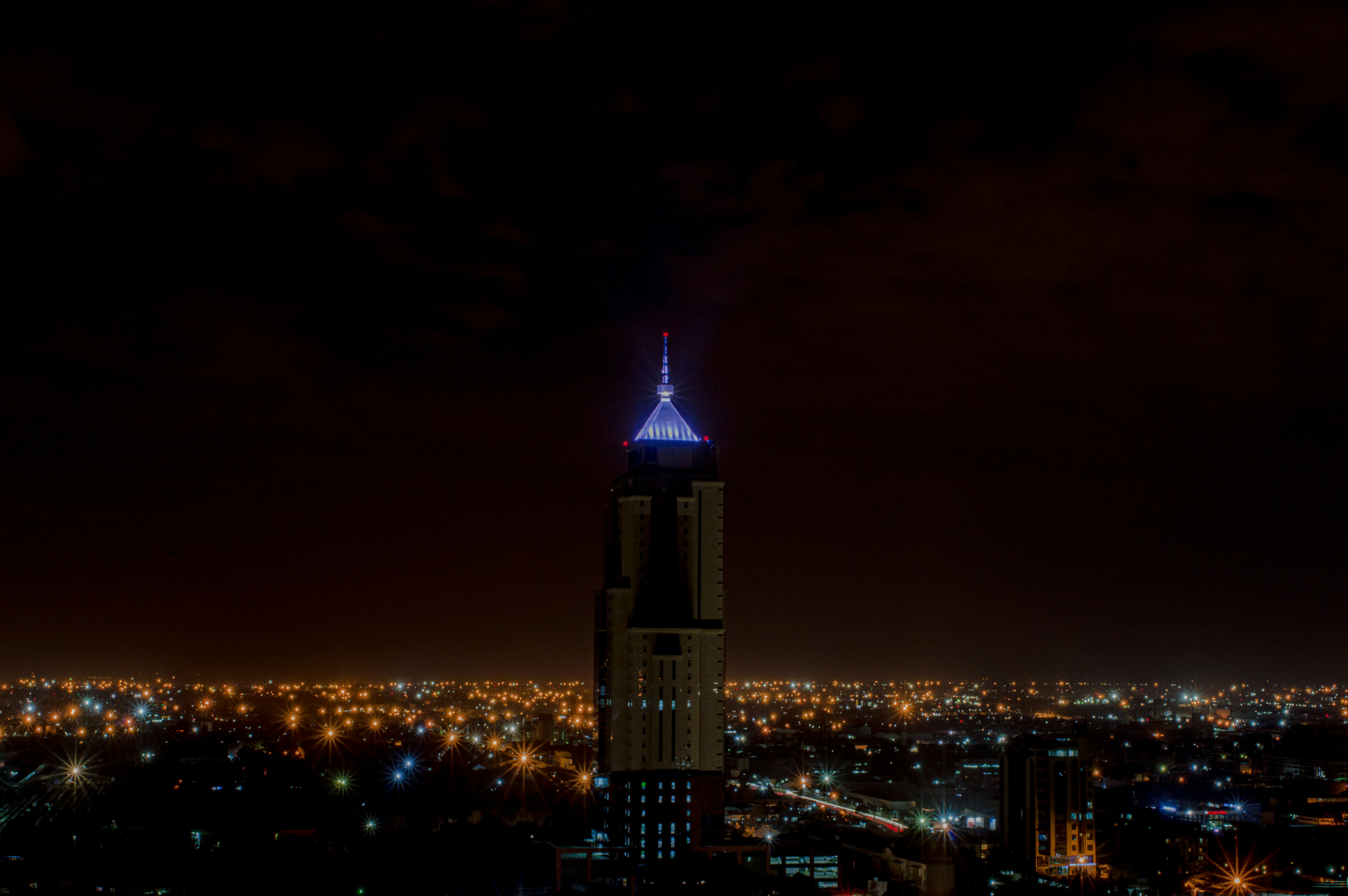 Noches robadas: cómo la luz artificial está desorientando a la fauna salvaje y qué podemos hacer para devolver la oscuridad