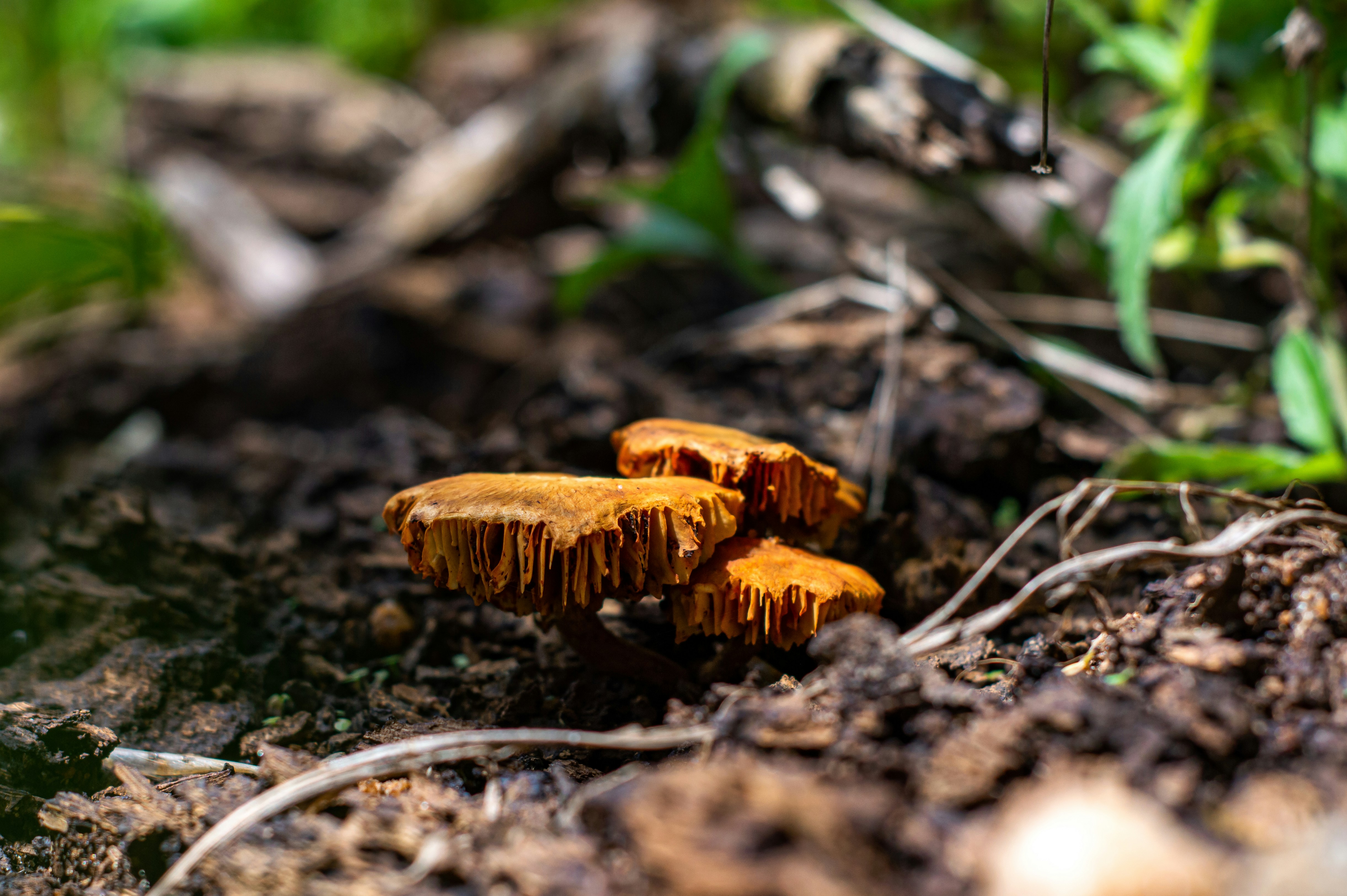 Photo by imsogabriel