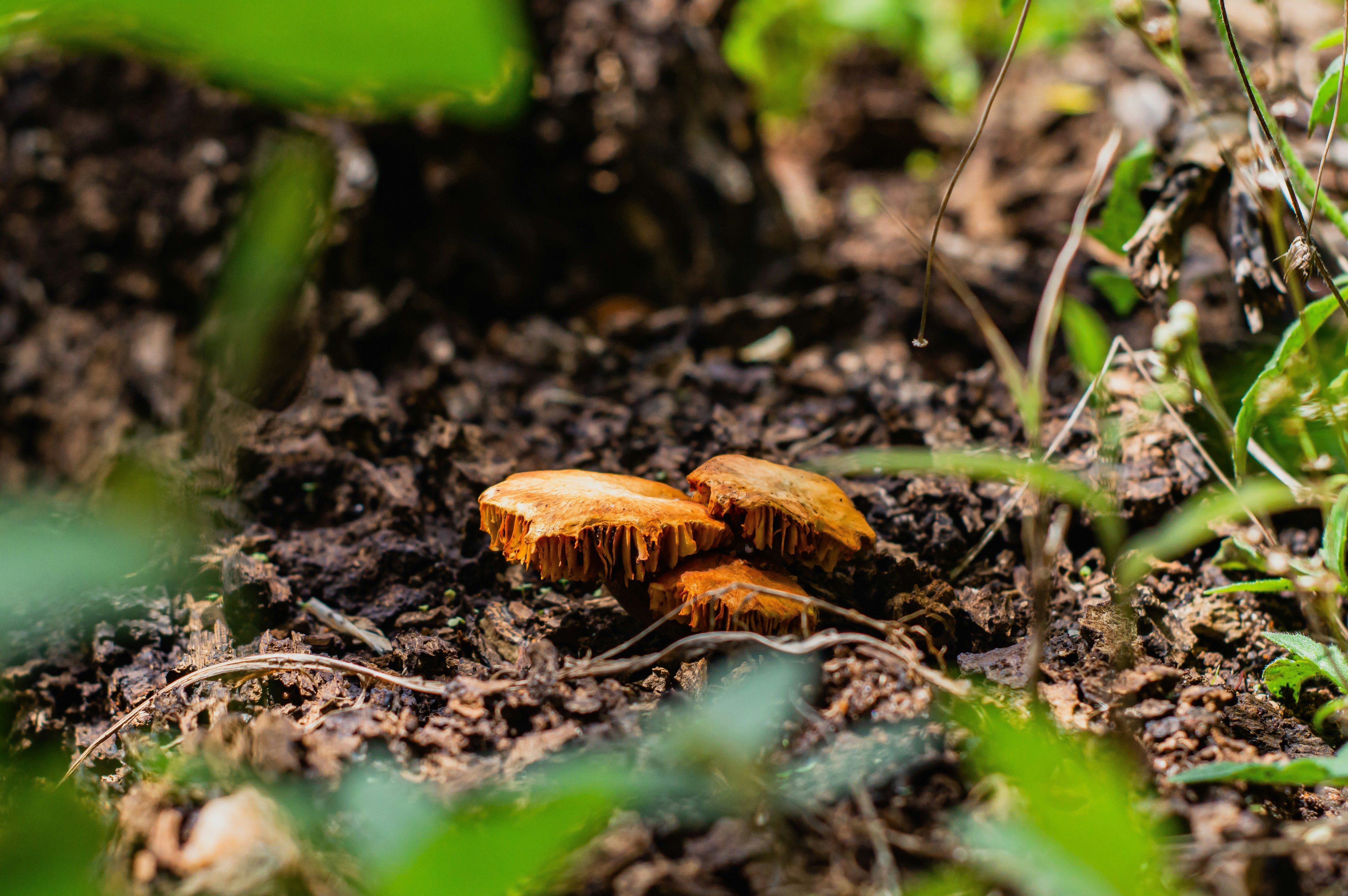 Photo by imsogabriel