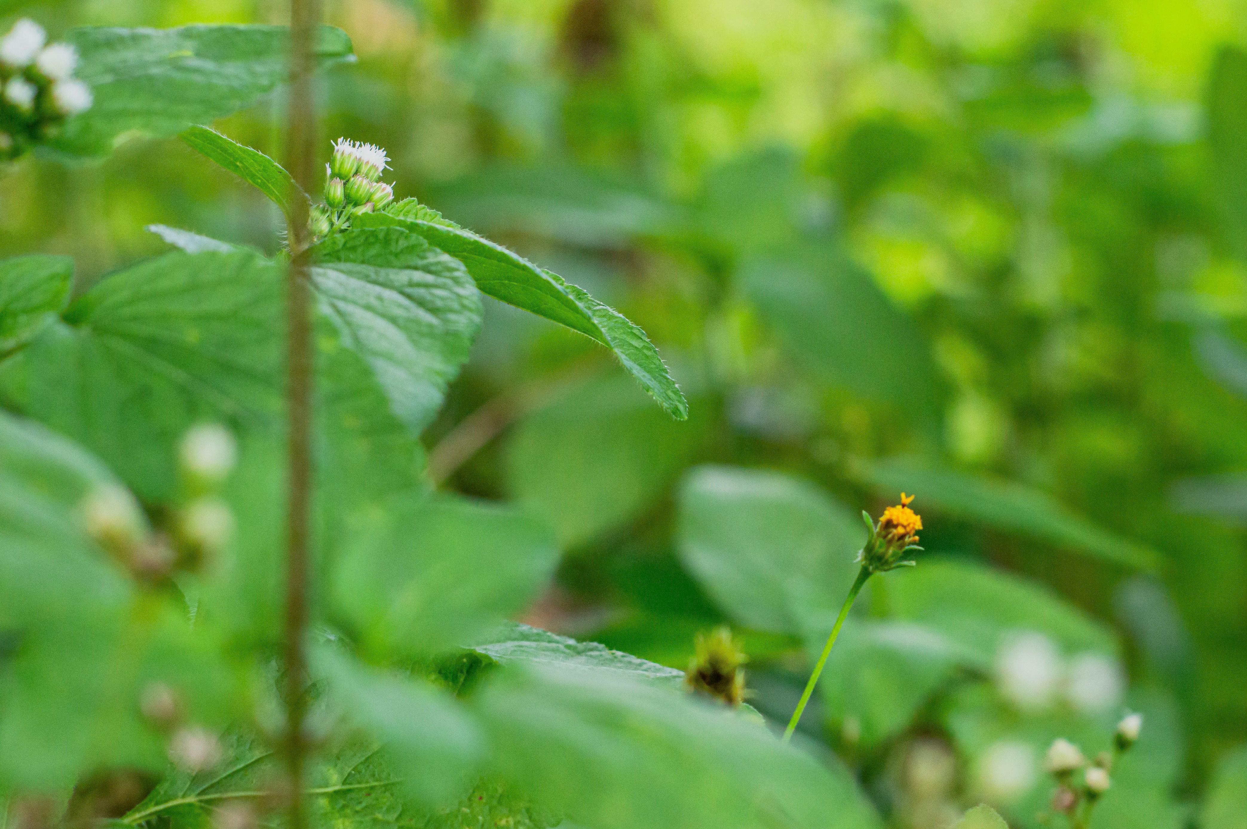 Photo by imsogabriel