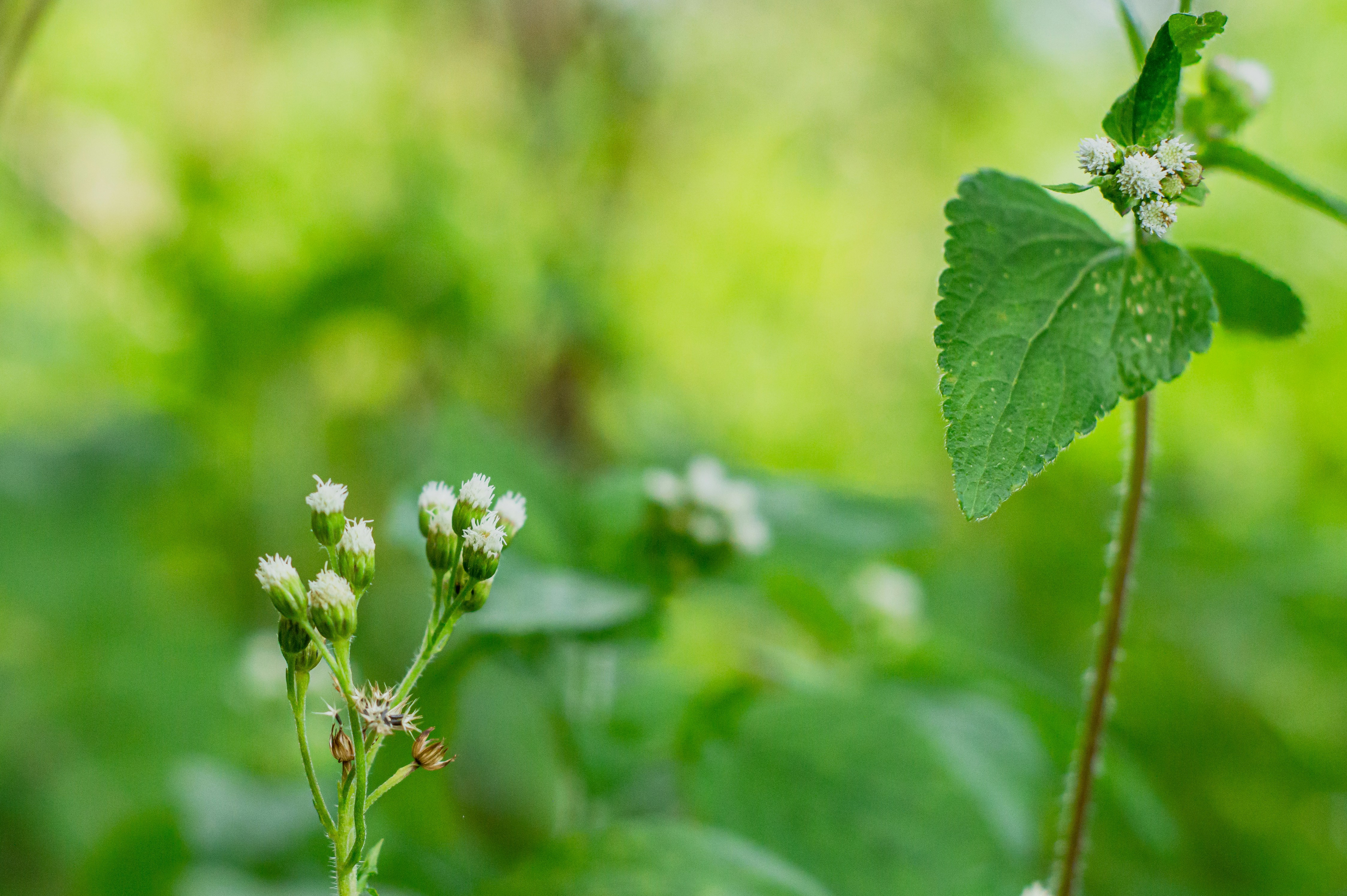 Photo by imsogabriel