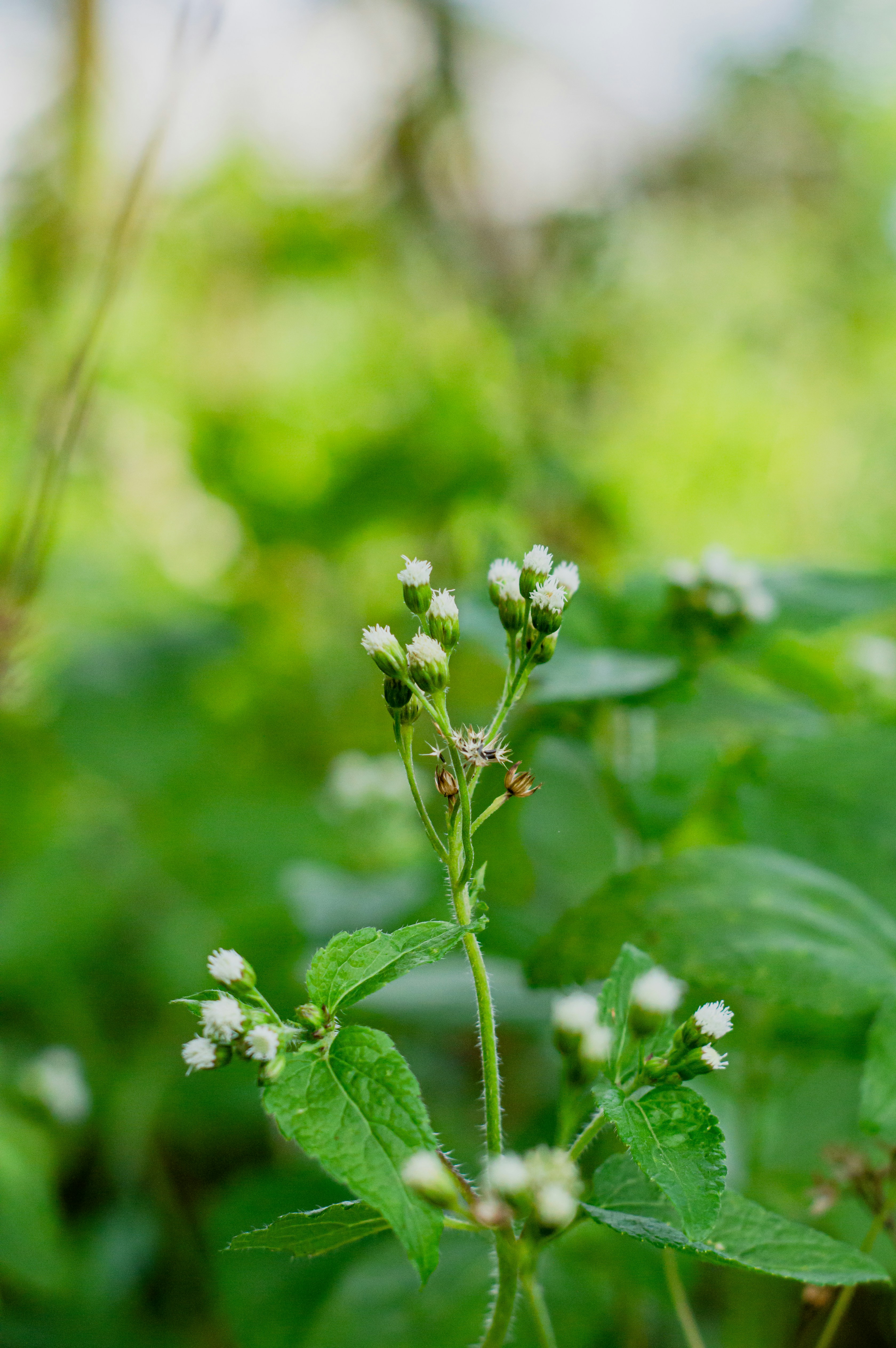 Photo by imsogabriel