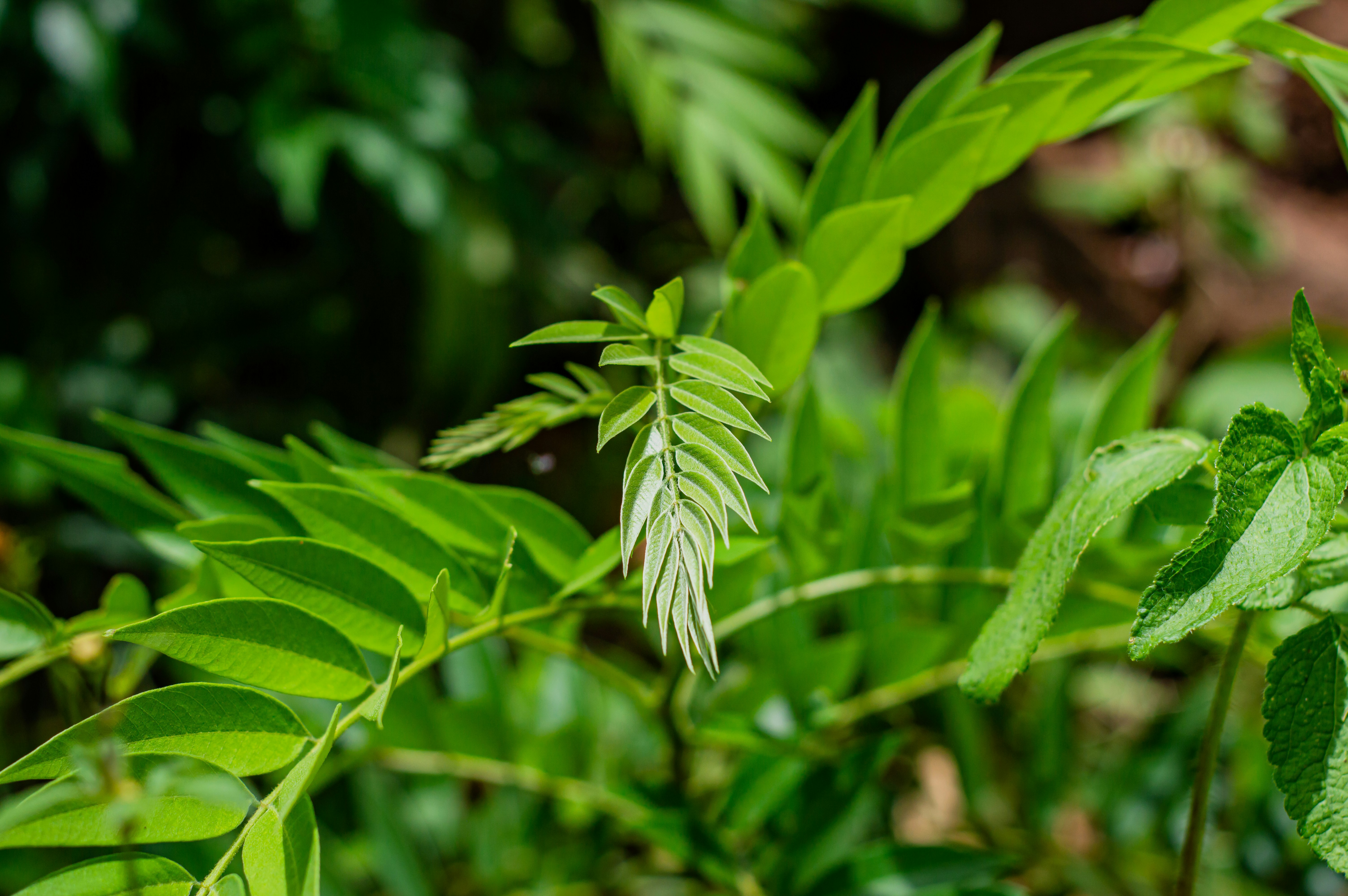 Photo by imsogabriel