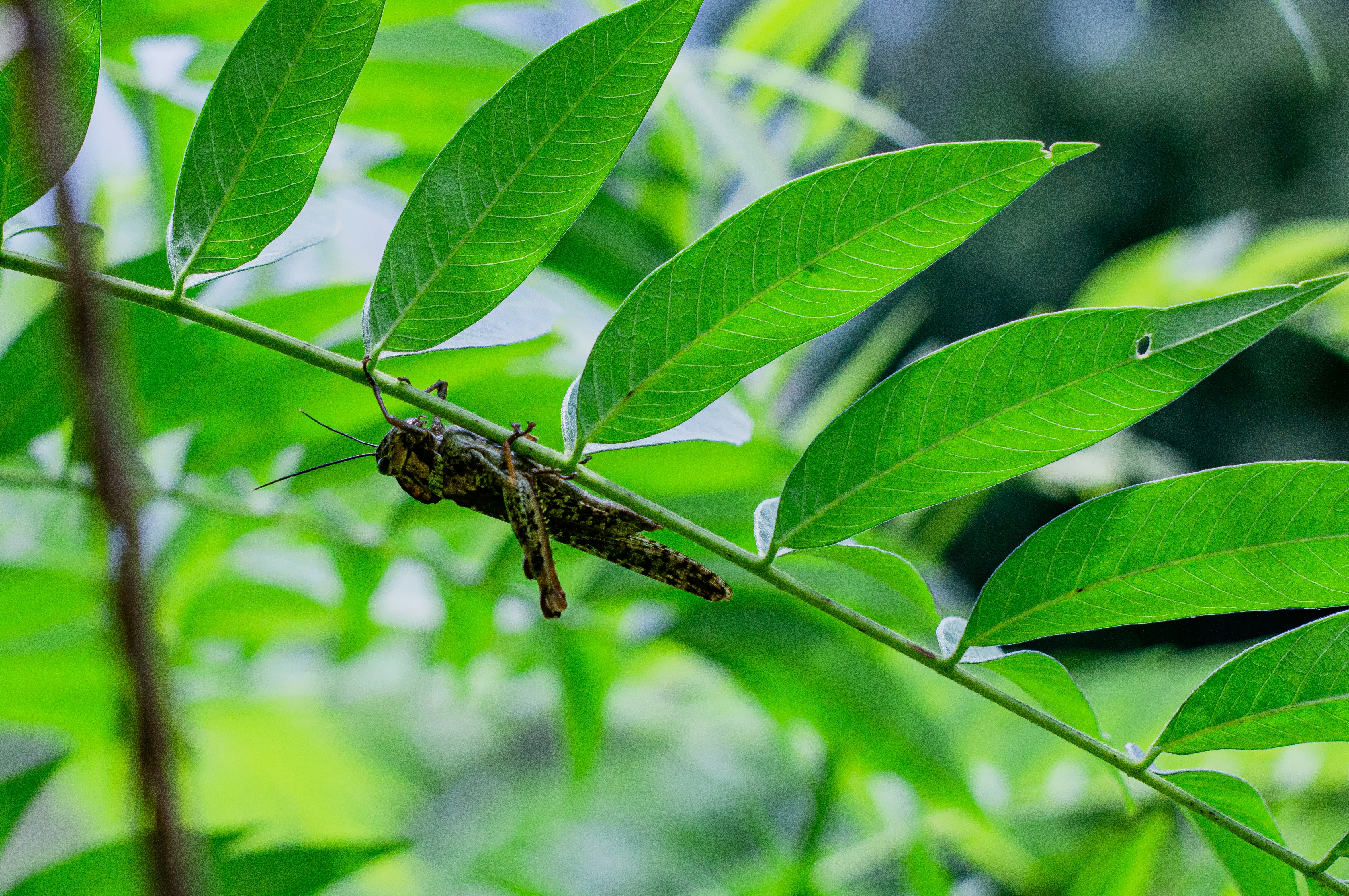 Photo by imsogabriel