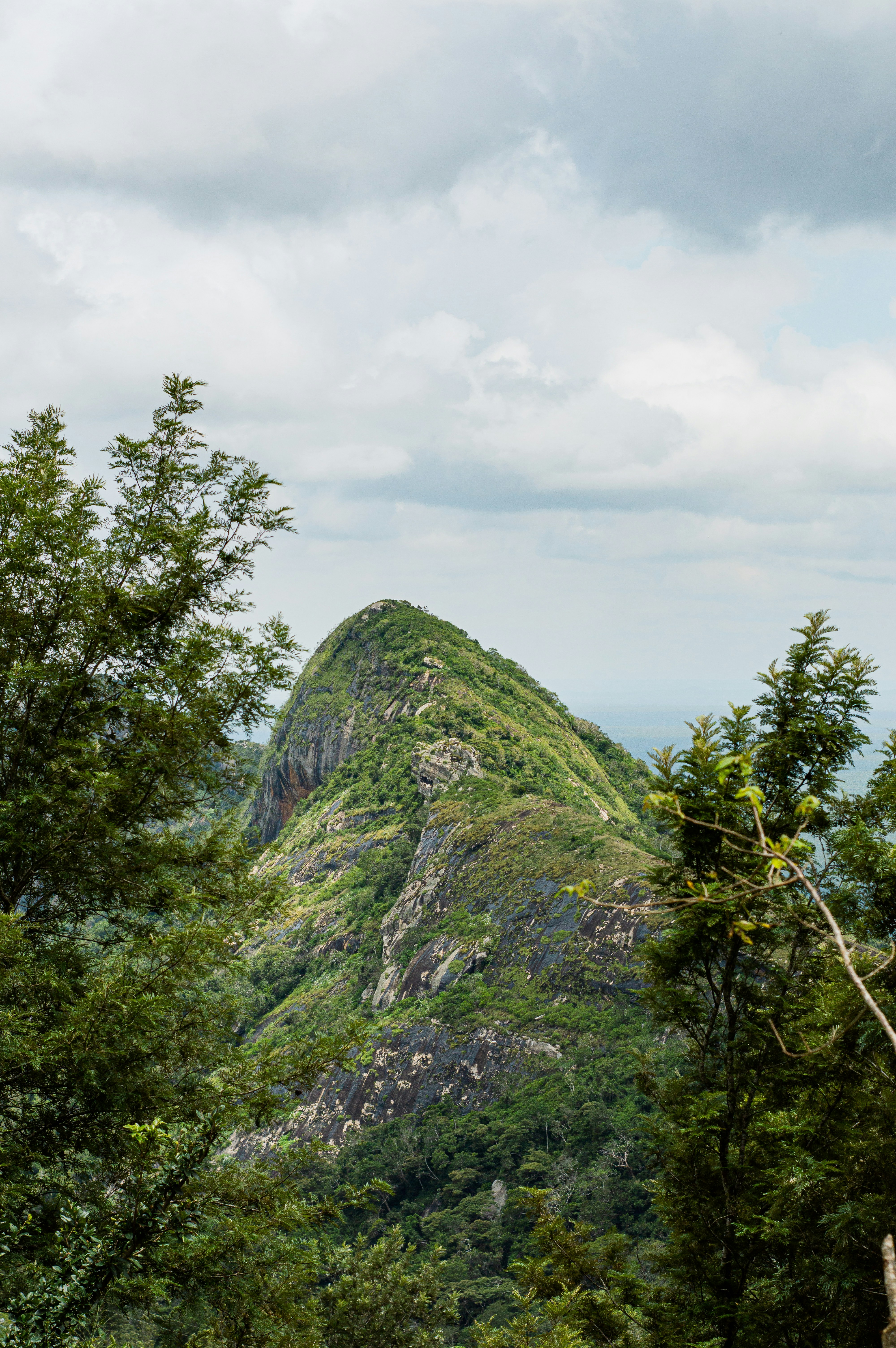Mountain peak covered in green vegetation and trees.
