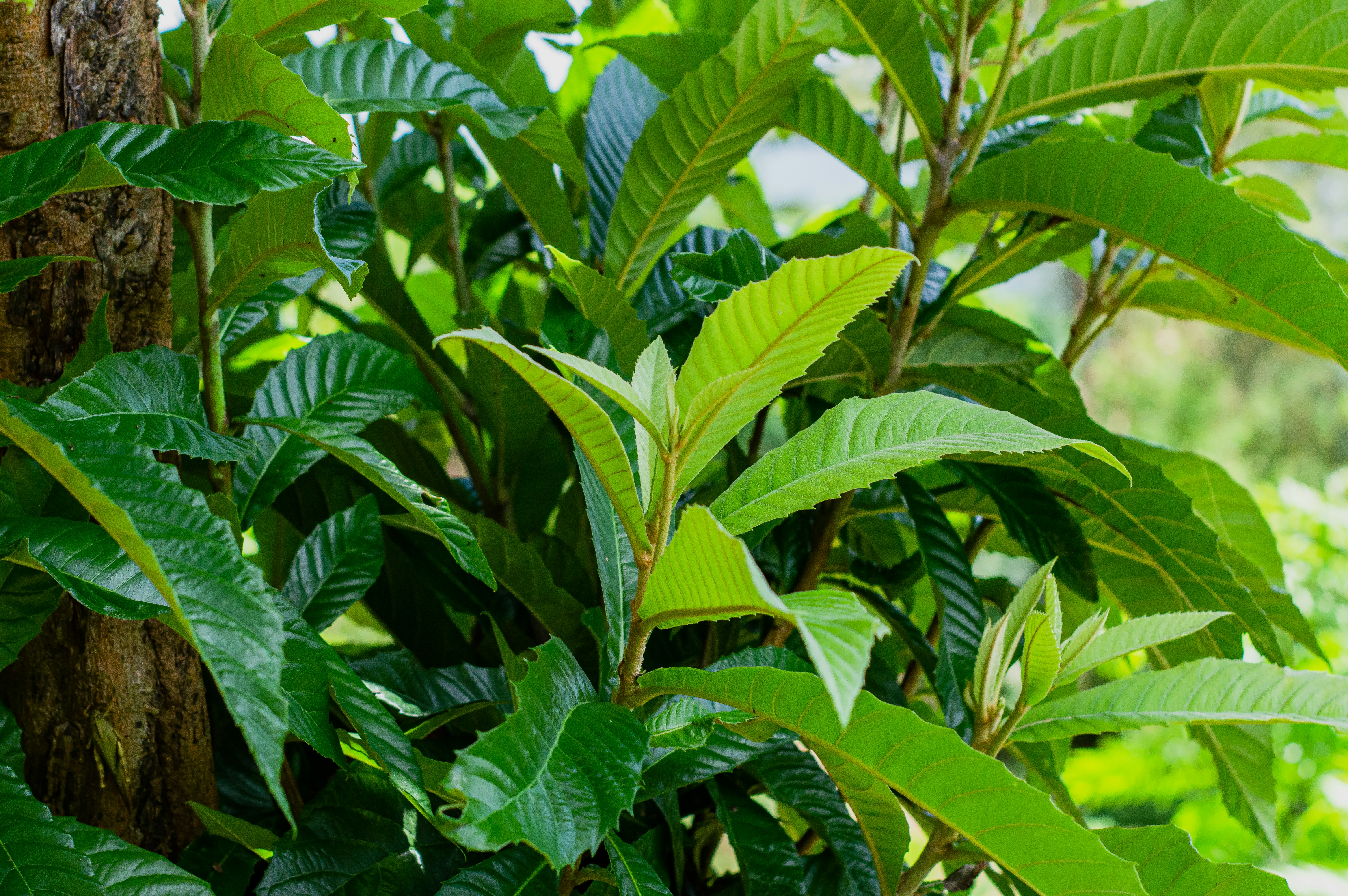 Photo by imsogabriel