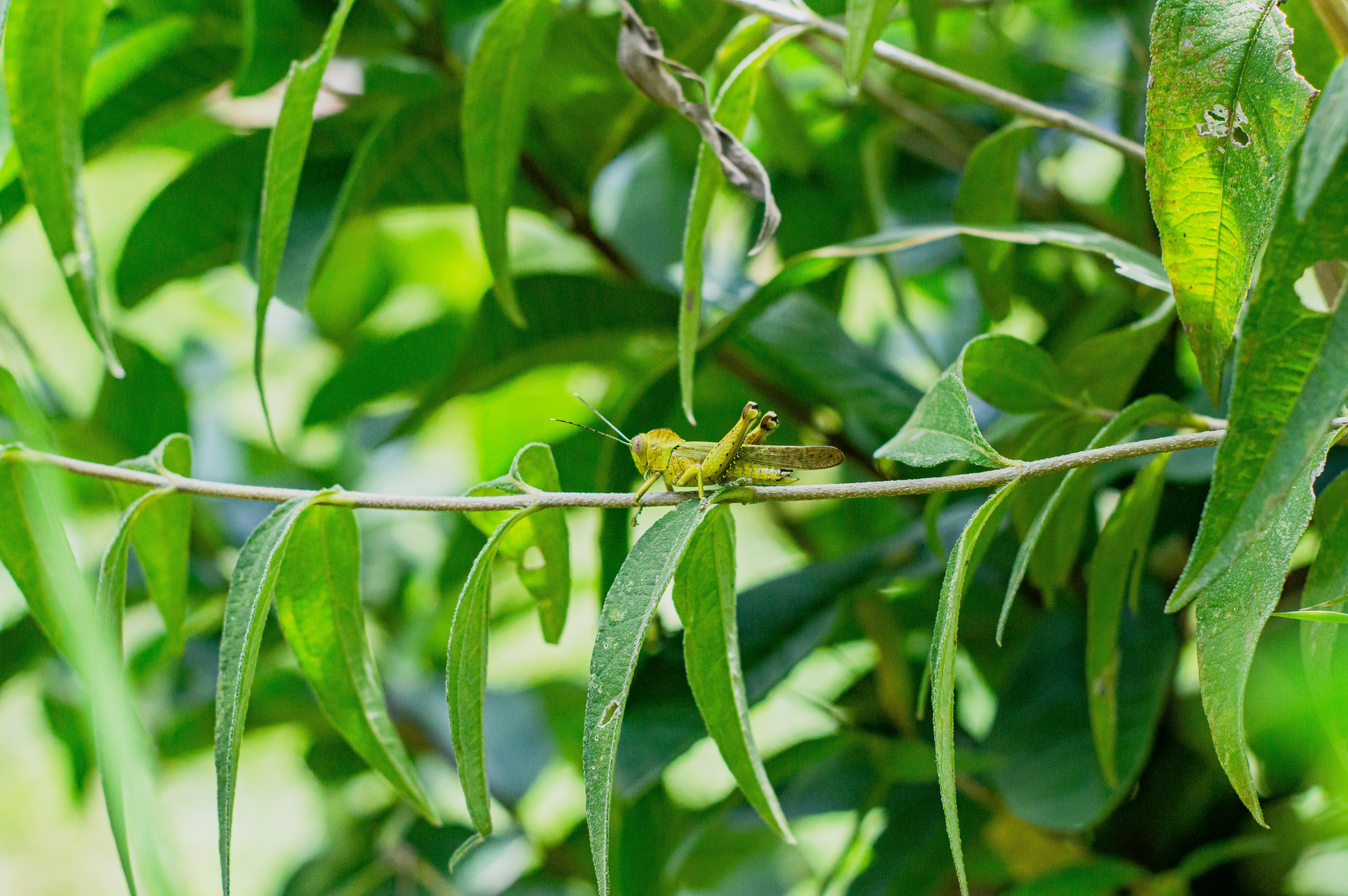 Photo by imsogabriel