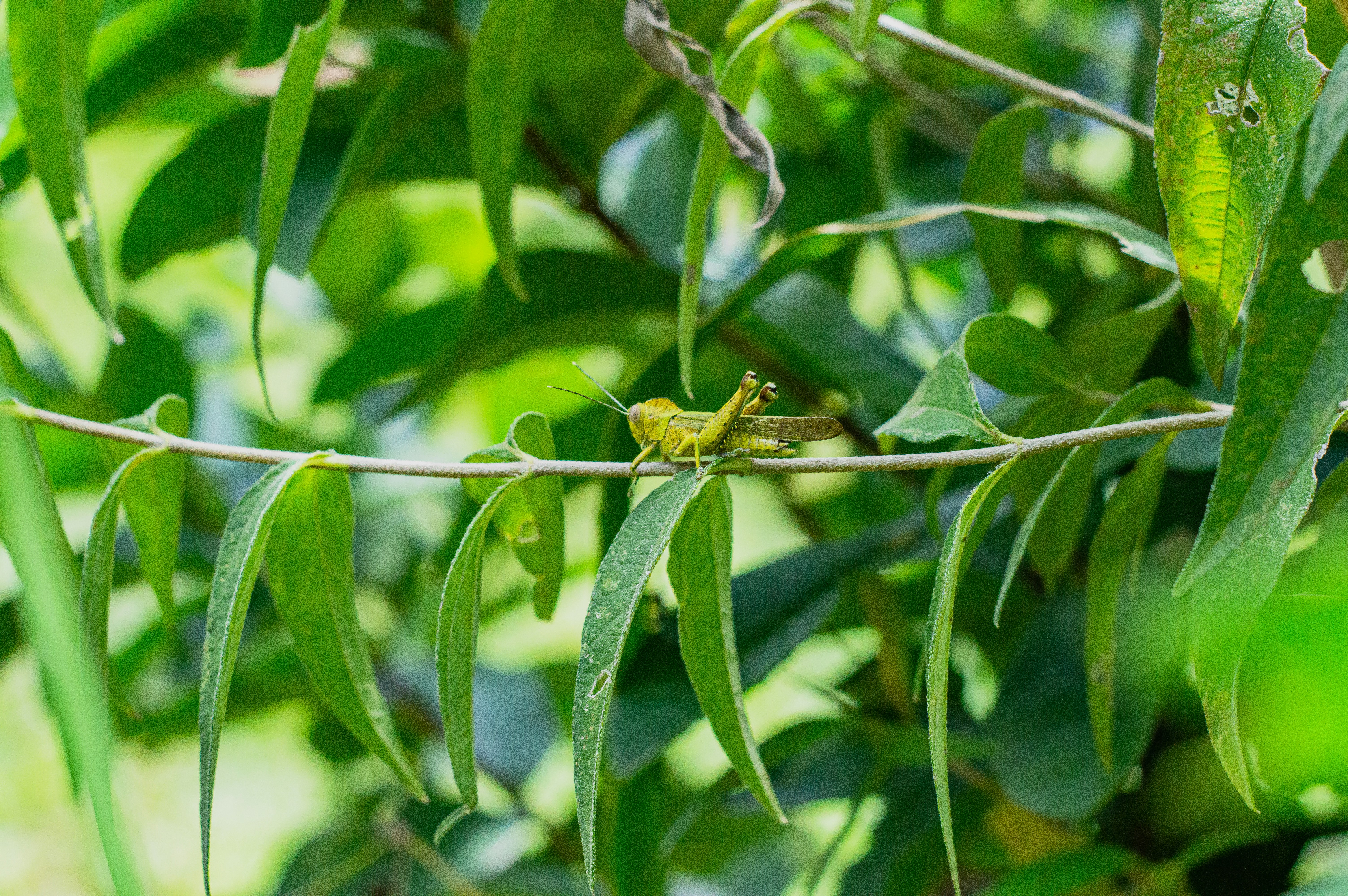 Photo by imsogabriel