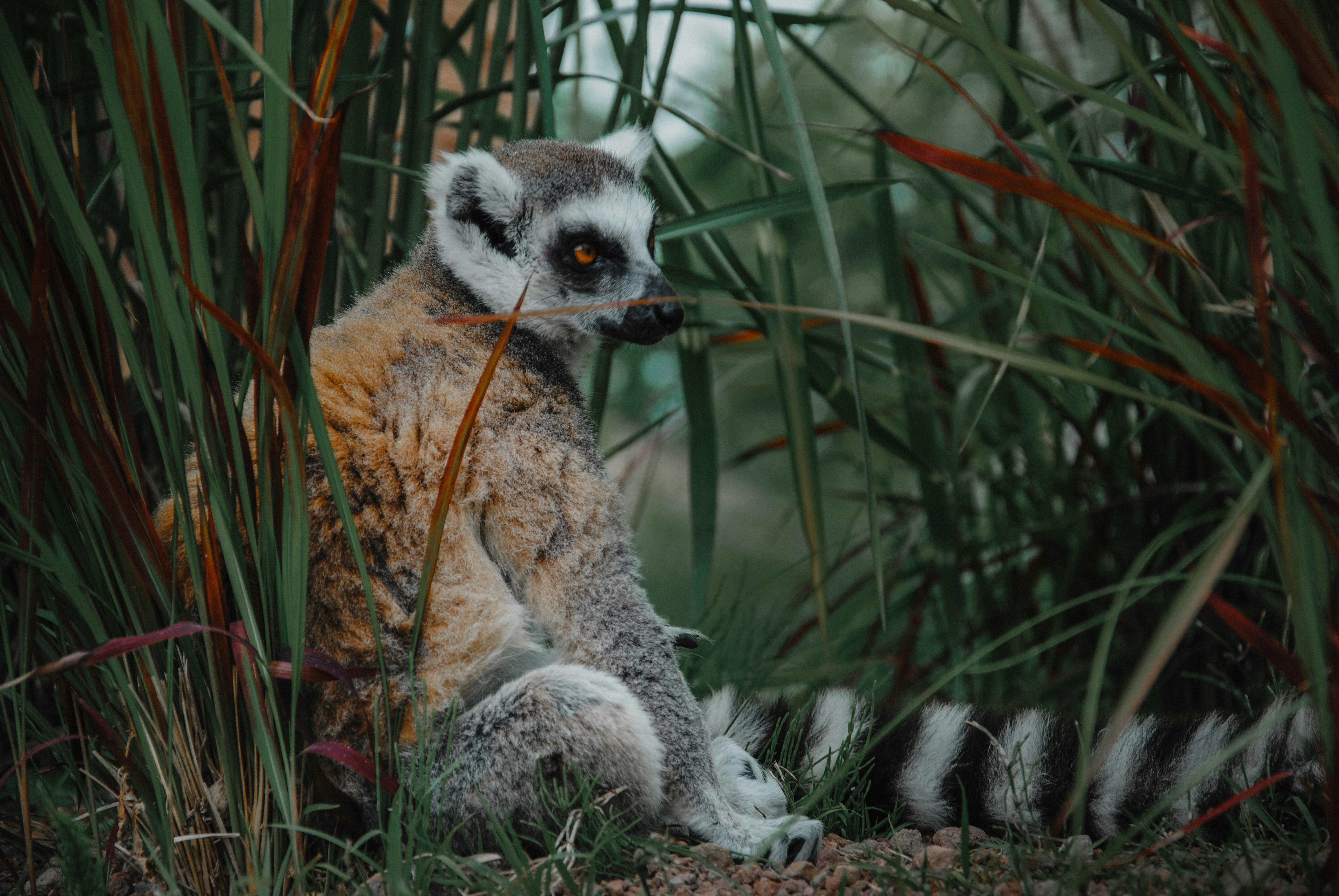 Photo by tommasodelton