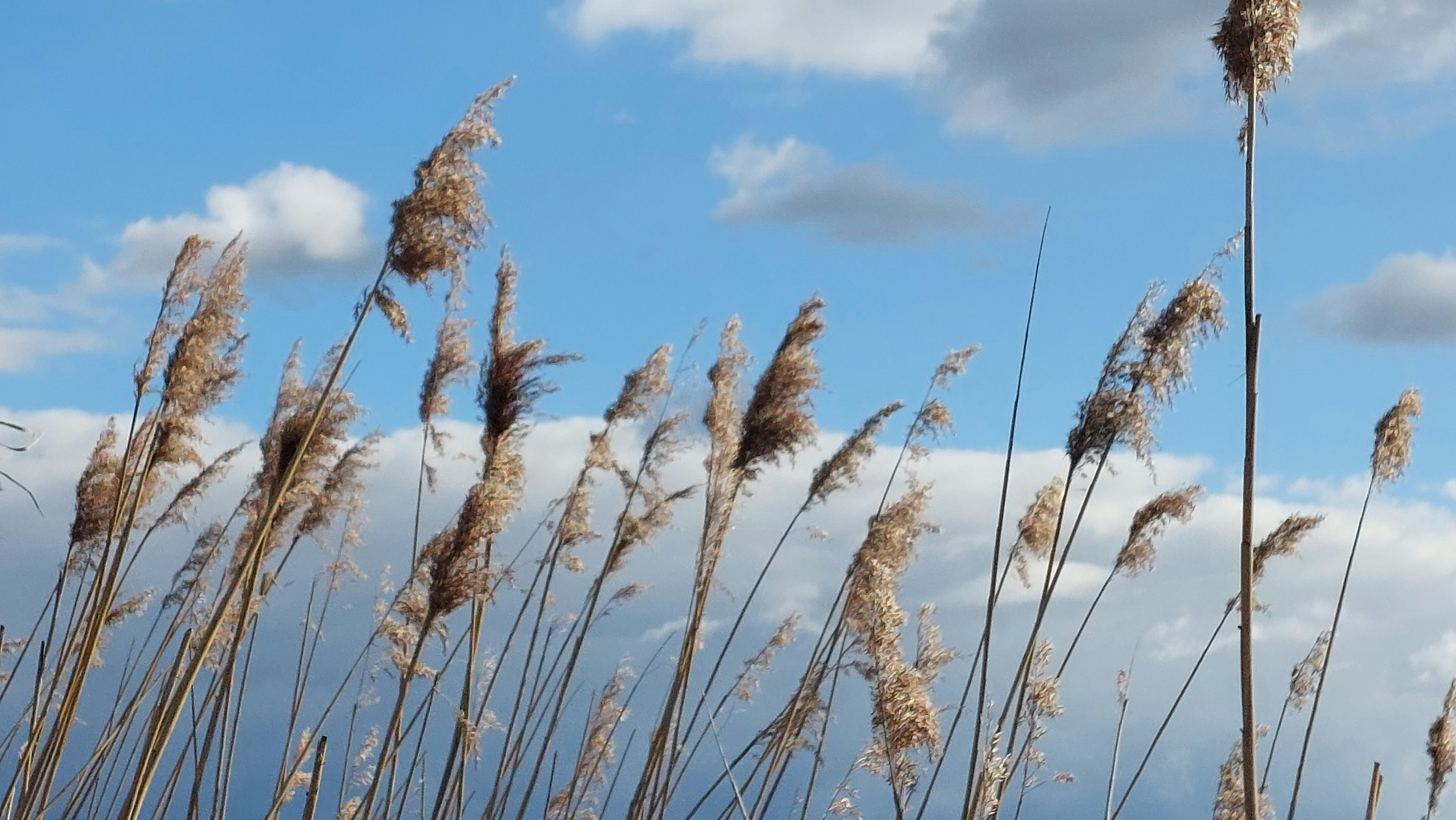 Photo by lamartine55