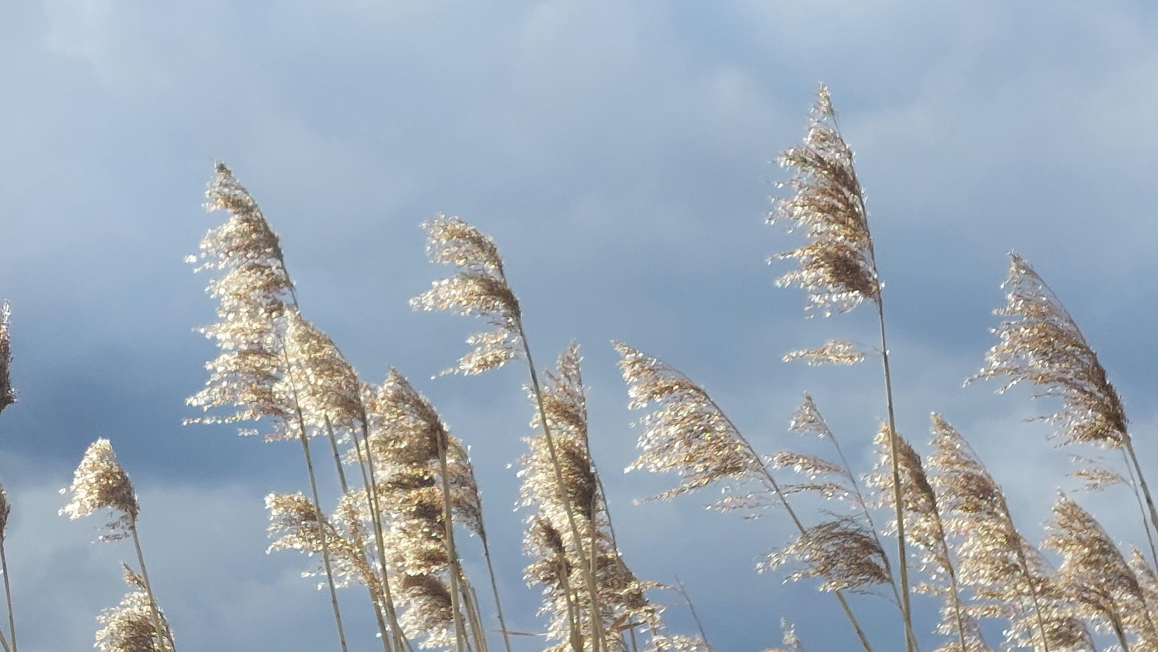 Photo by lamartine55