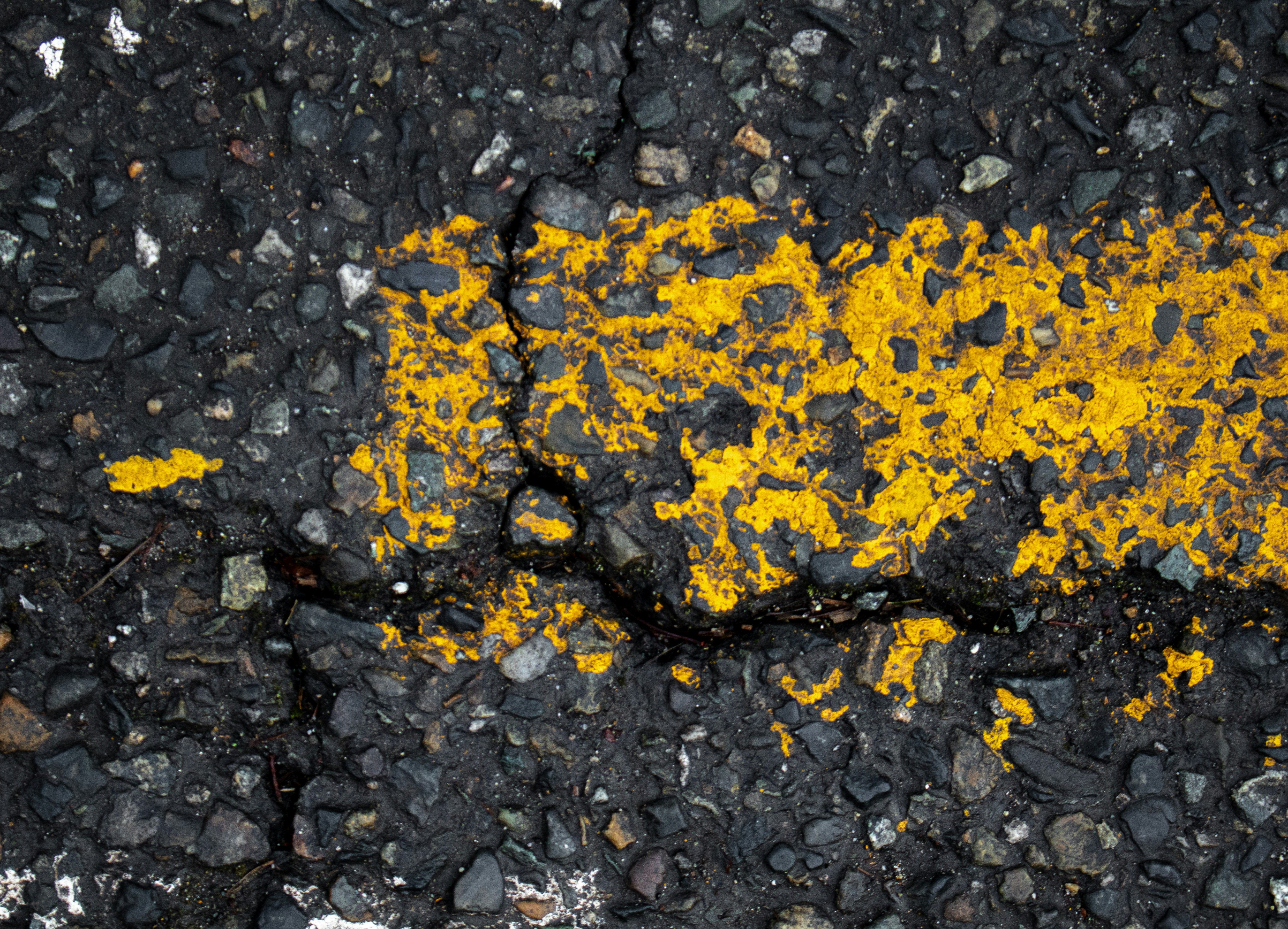 This close-up photograph features the texture of cracked asphalt, incorporating faded remnants of road markings. The image emphasizes the wear and tear of the pavement, with cracks and fissures creating an abstract pattern. The photograph's detail and limited context lend itself to use as a background, texture, or to visually represent concepts of age, deterioration, and urban infrastructure in transportation.