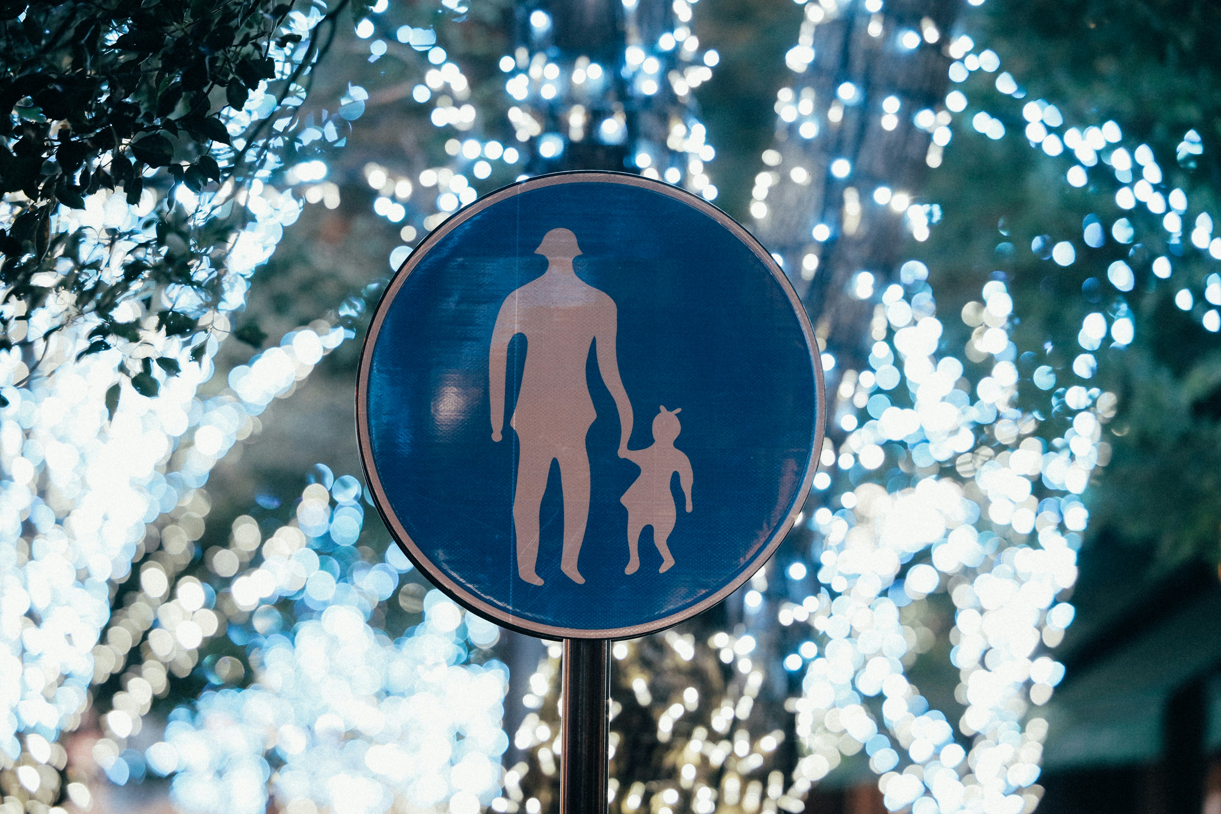 Photo by tsuyoshikozu